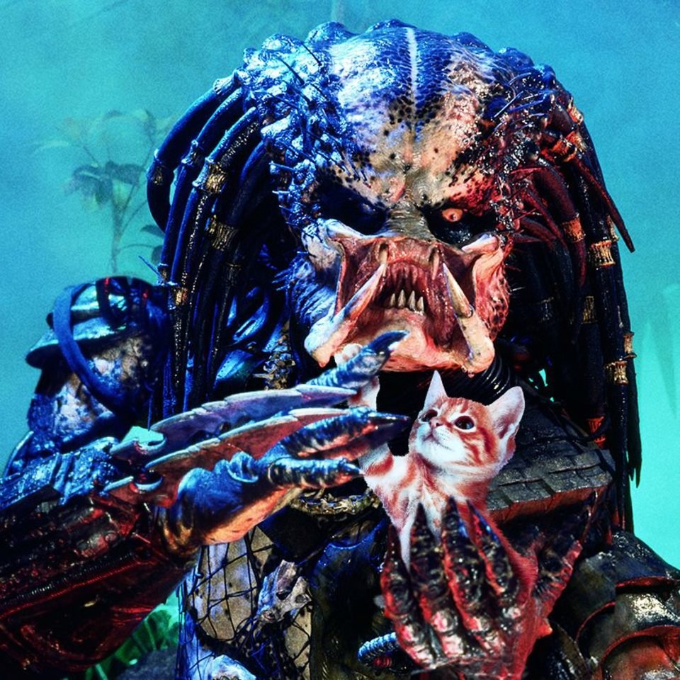 Predator App