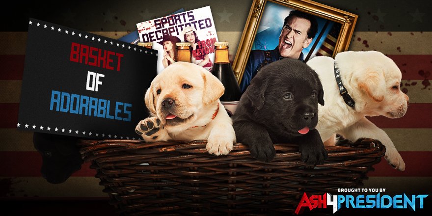 AshvsEvilDead_BasketsofAdorables_880x440.jpeg