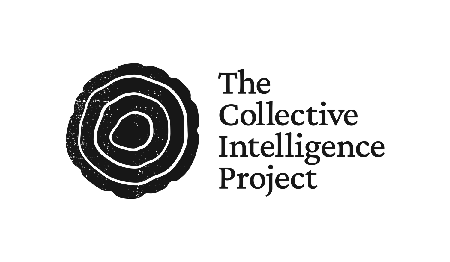 Research Fellowship — The Collective Intelligence Project