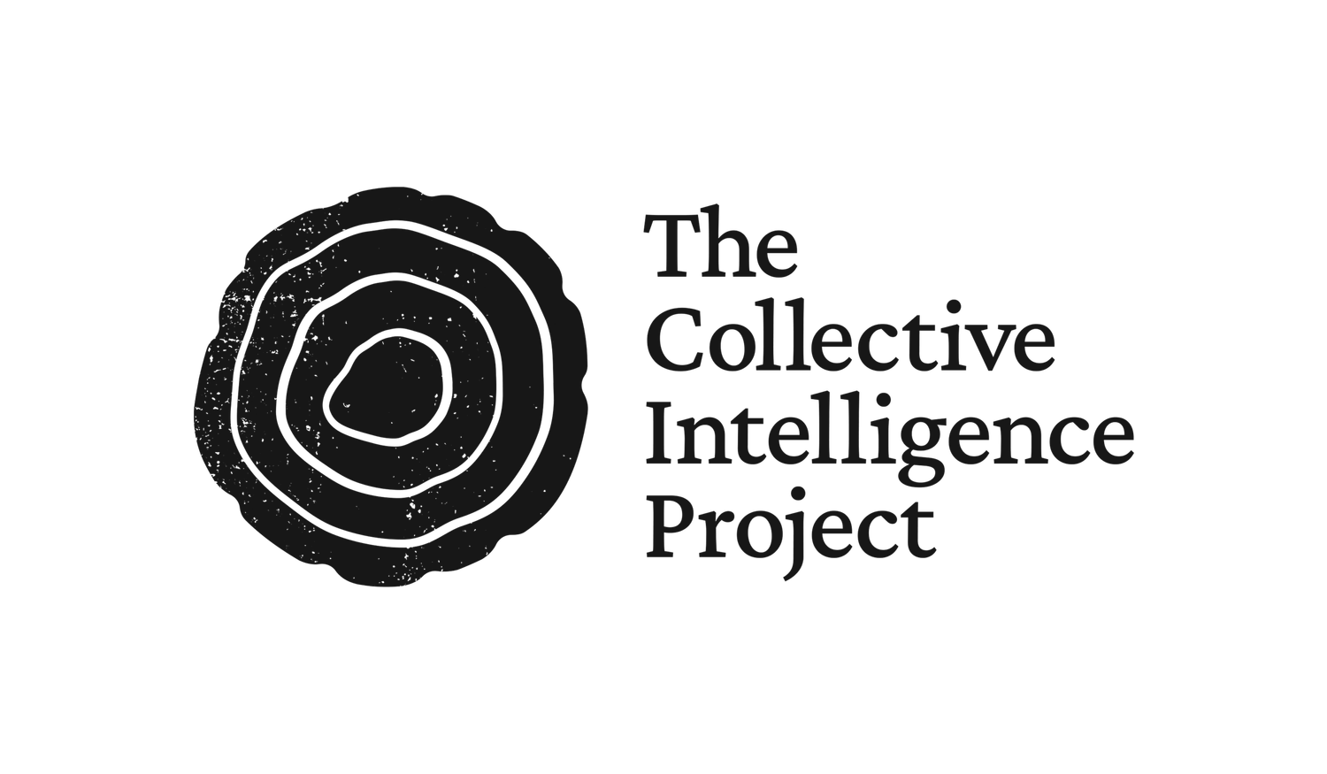 The Collective Intelligence Project