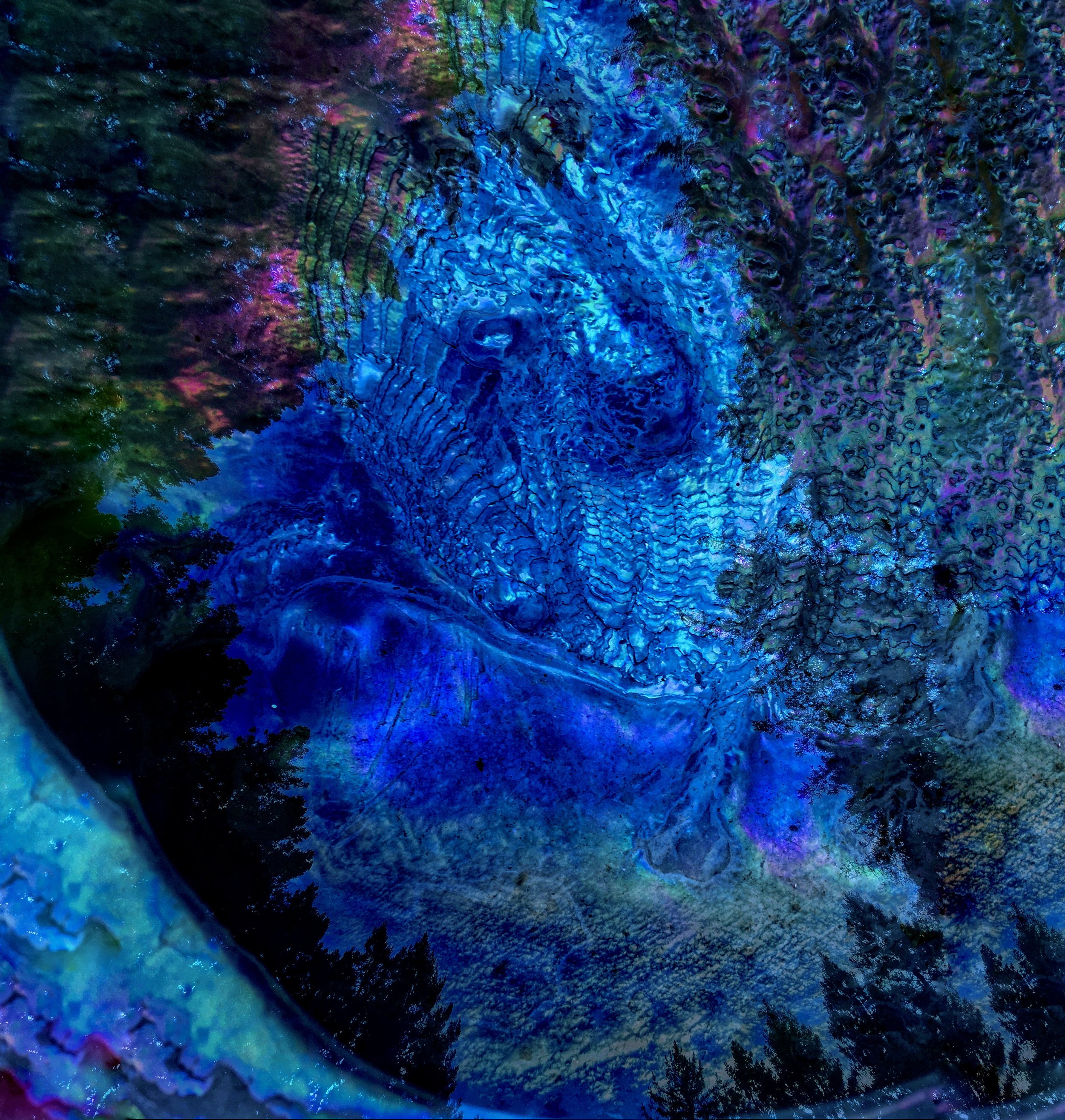 Portal into Consciousness