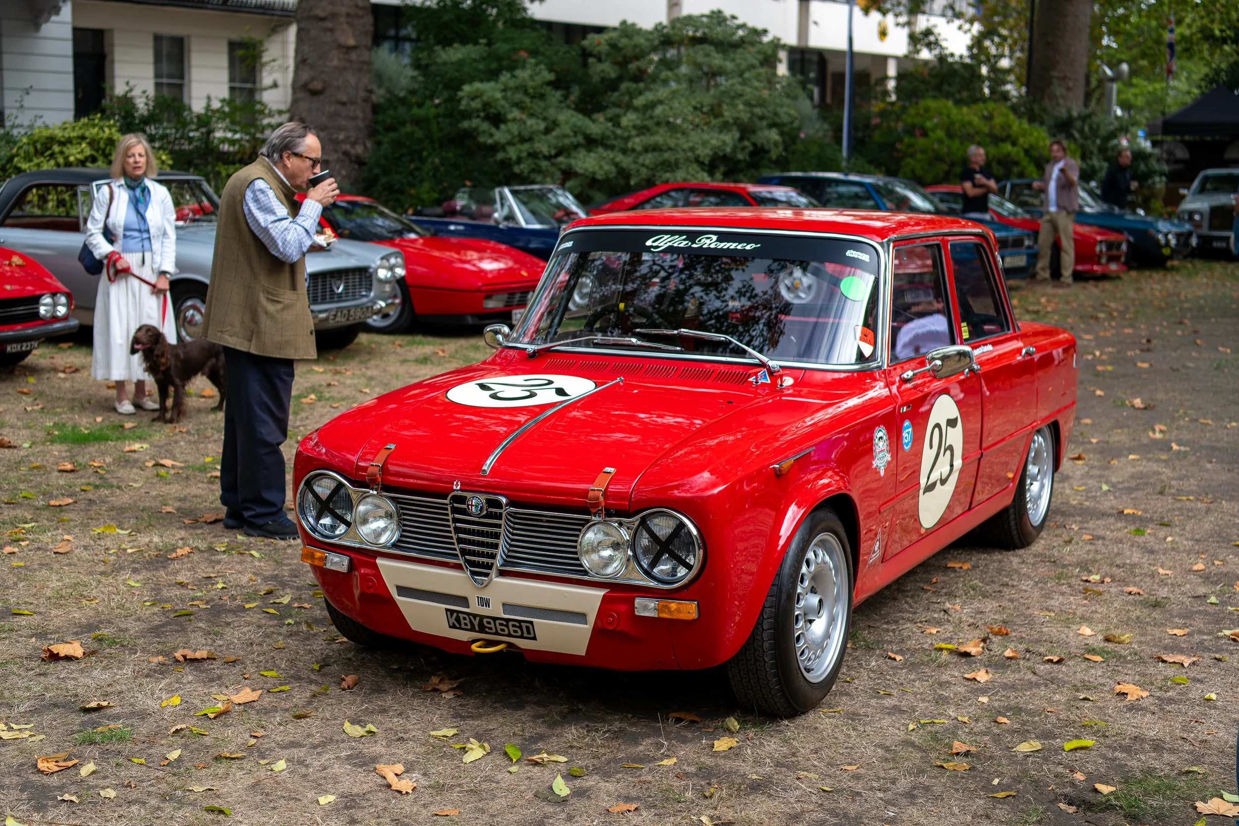 023-D85_7355-DxO_DeepPRIME XD3.jpg