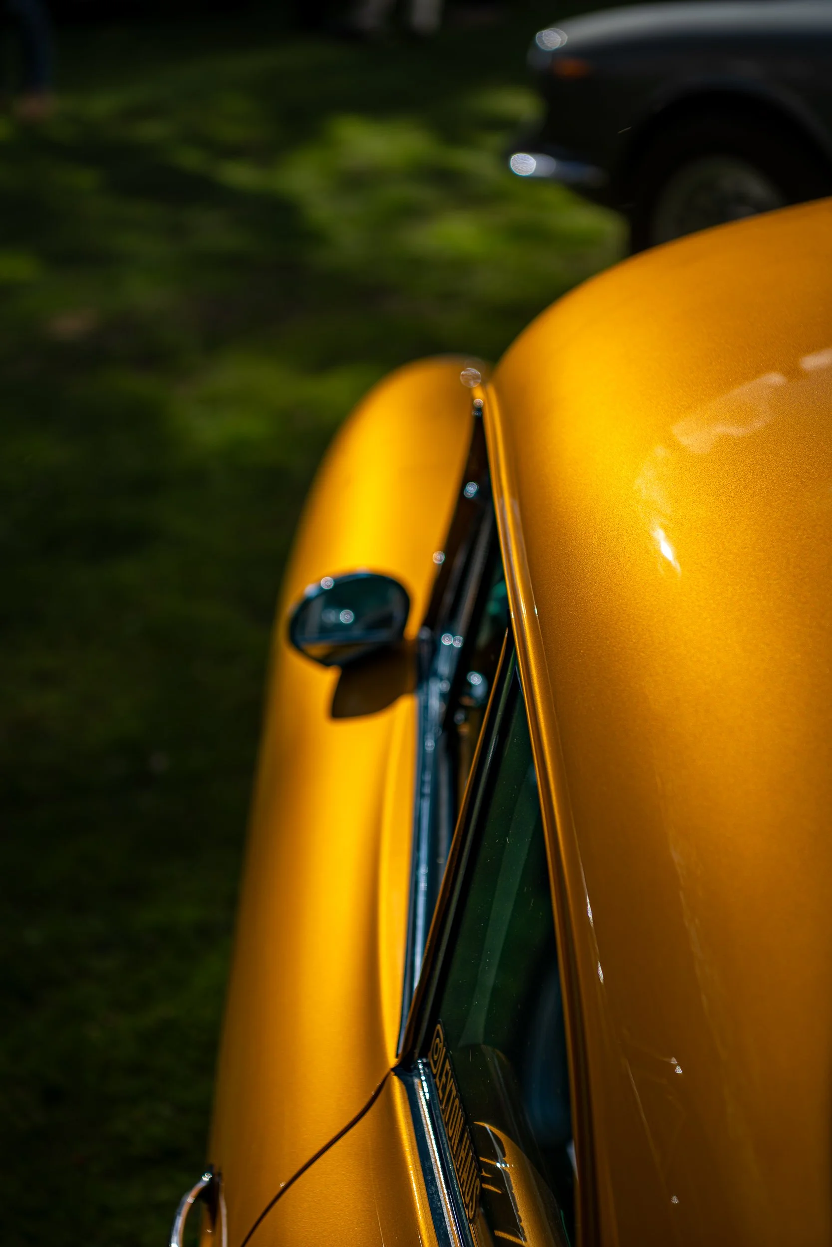 009-D85_5052-DxO_DeepPRIME XD3.jpg