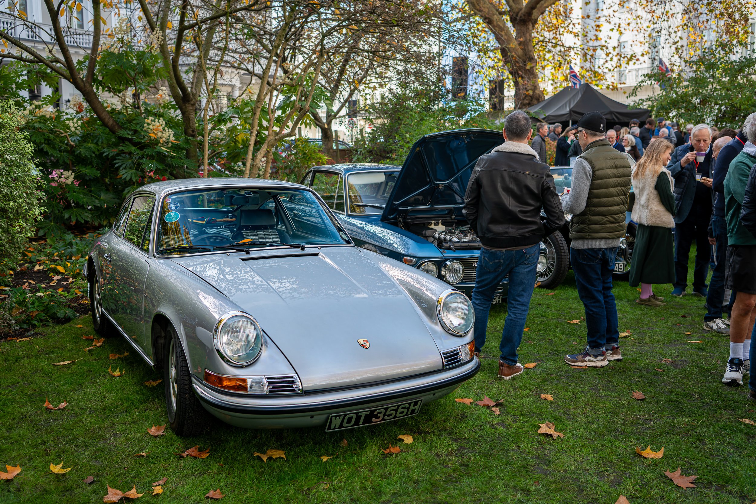 021-D85_3896-DxO_DeepPRIME XD2s.jpg