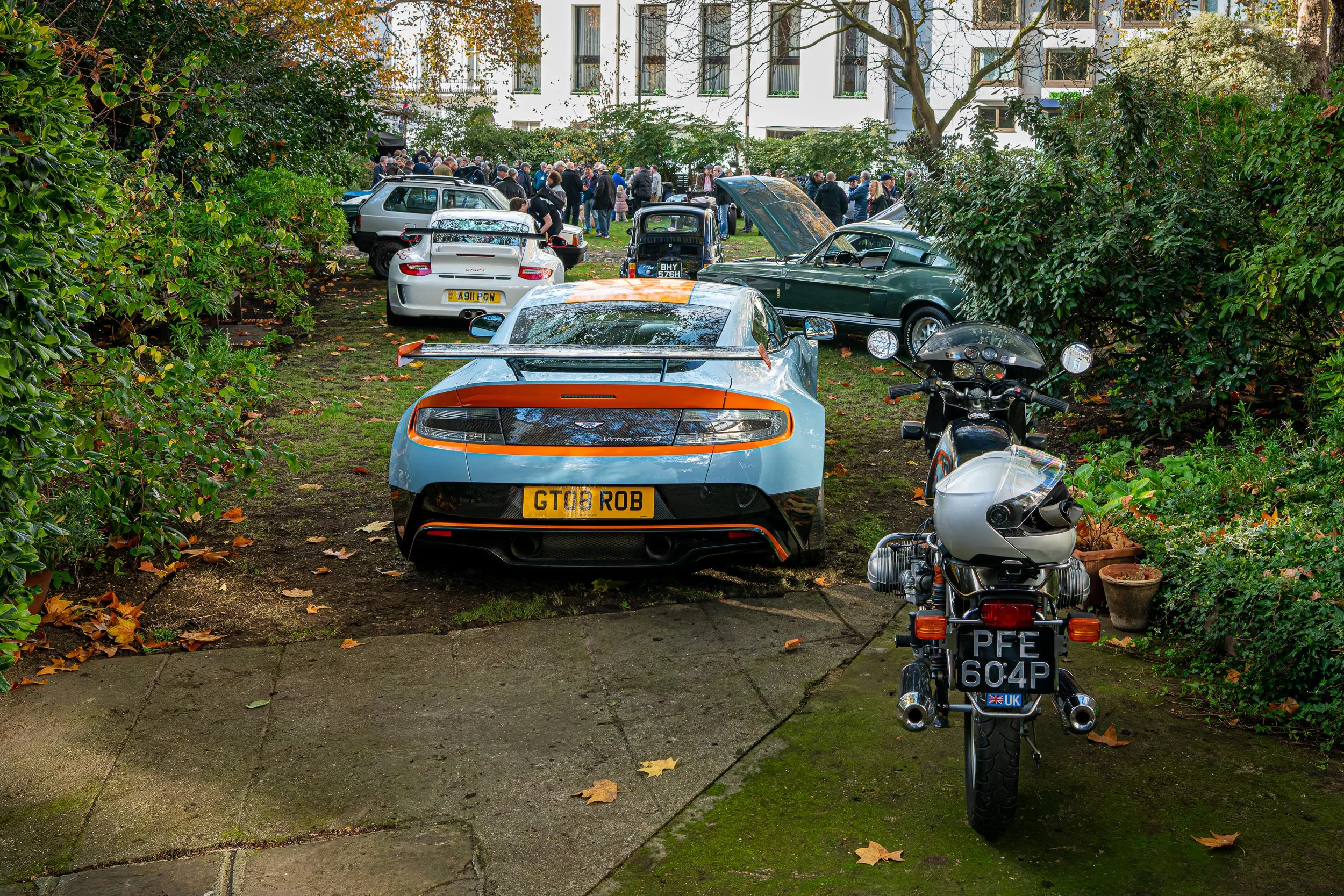 016-D85_3868-DxO_DeepPRIME XD2s.jpg