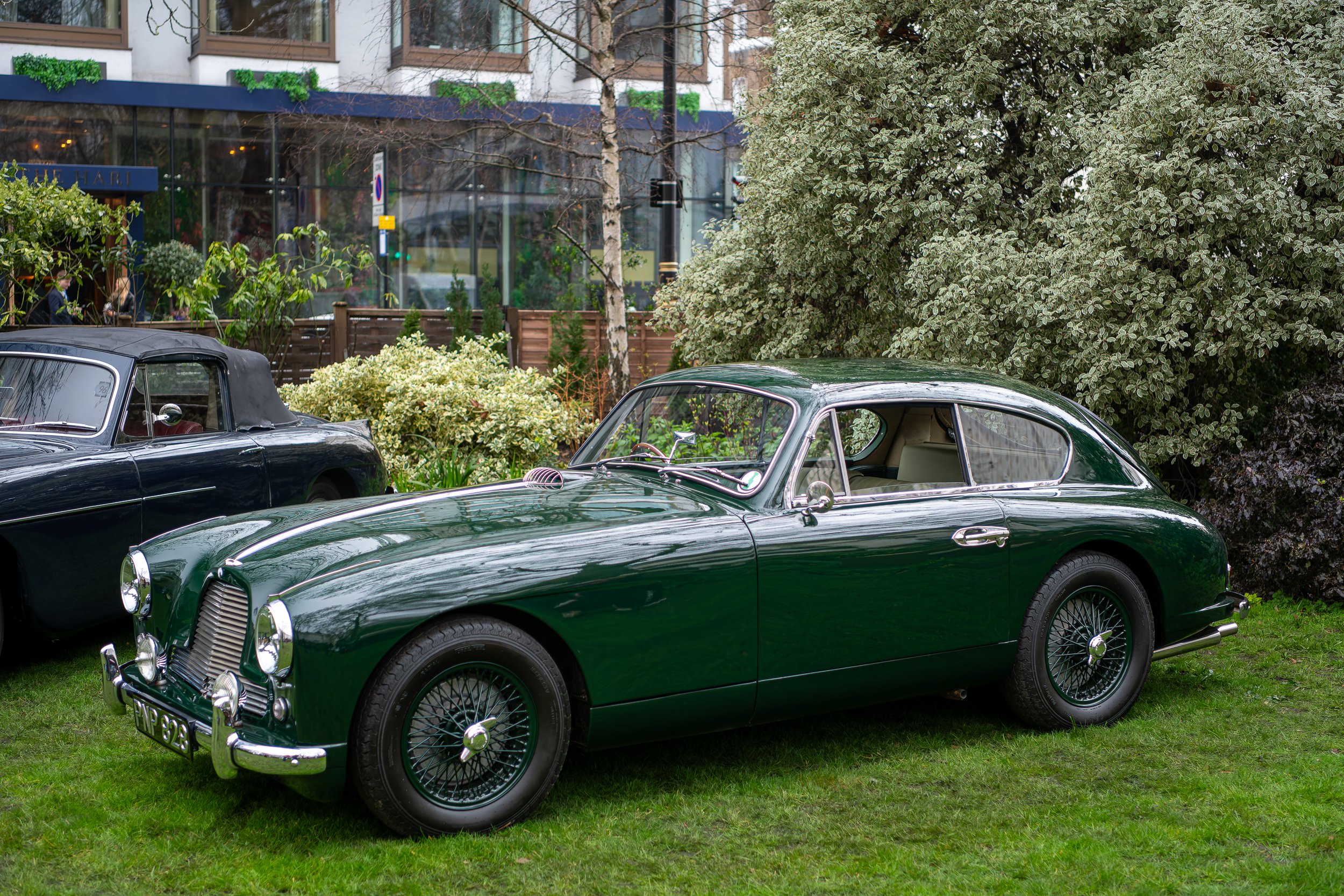 A vintage dark green sports car parked on a grassy area, with another classic car adjacent, surrounded by green bushes and trees, with a modern building and glass windows in the background.