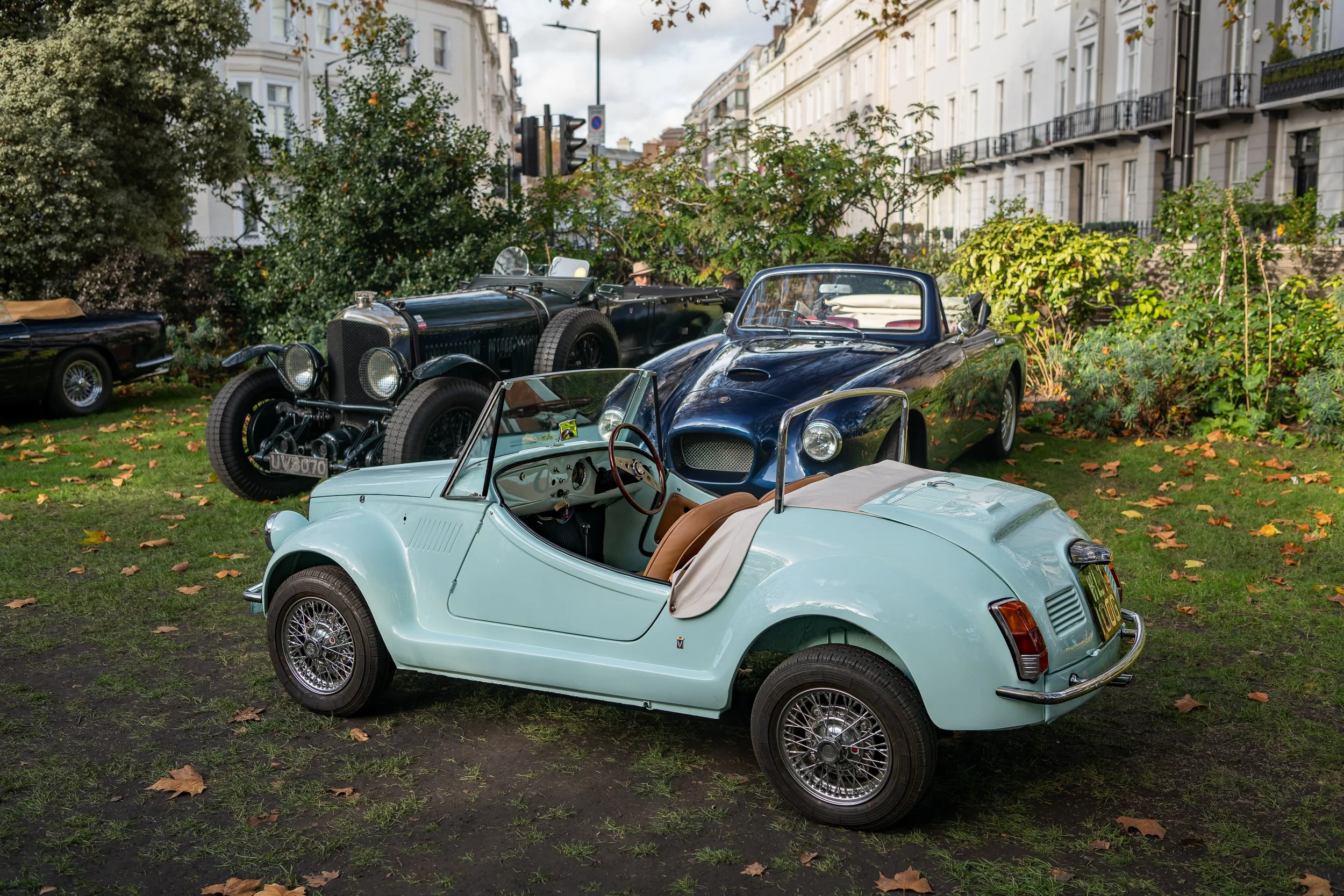 014-D85_3976-DxO_DeepPRIME XD2s.jpg