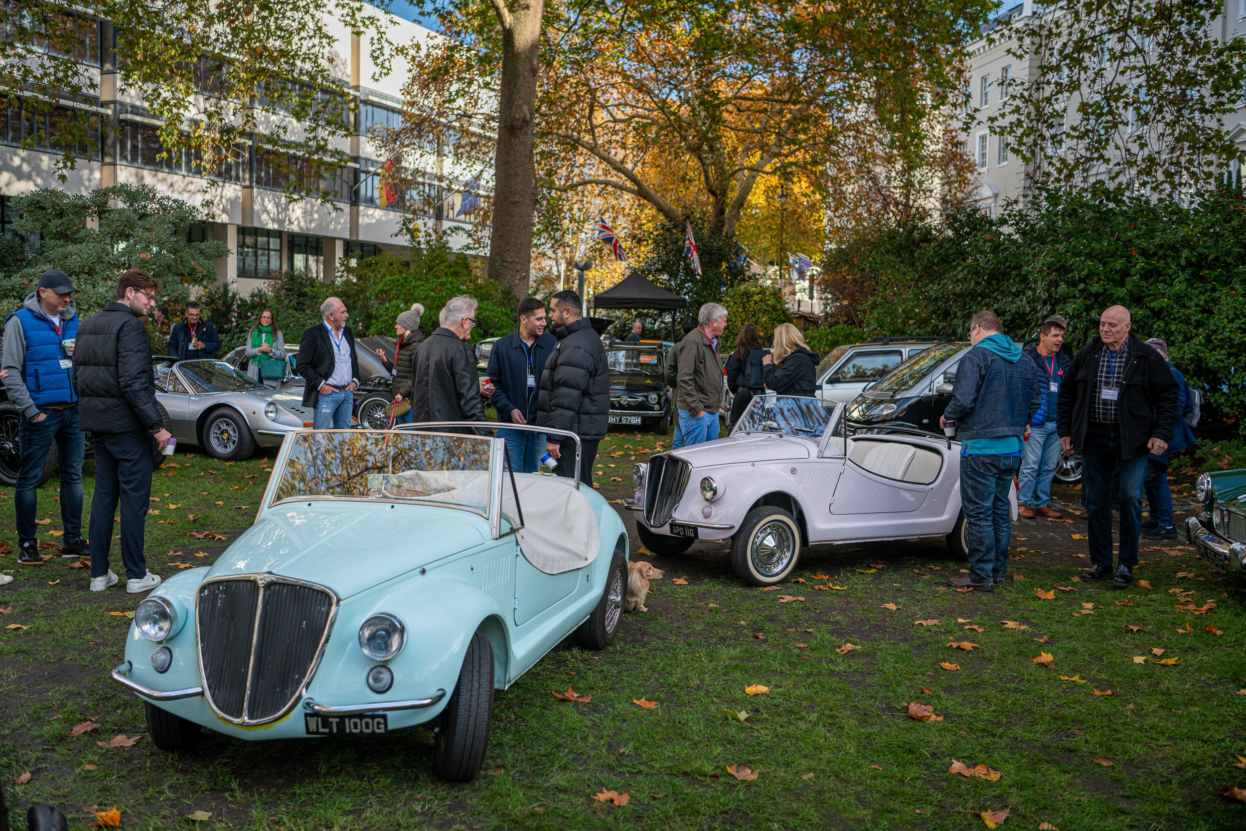 012-D85_3891-DxO_DeepPRIME XD2s.jpg