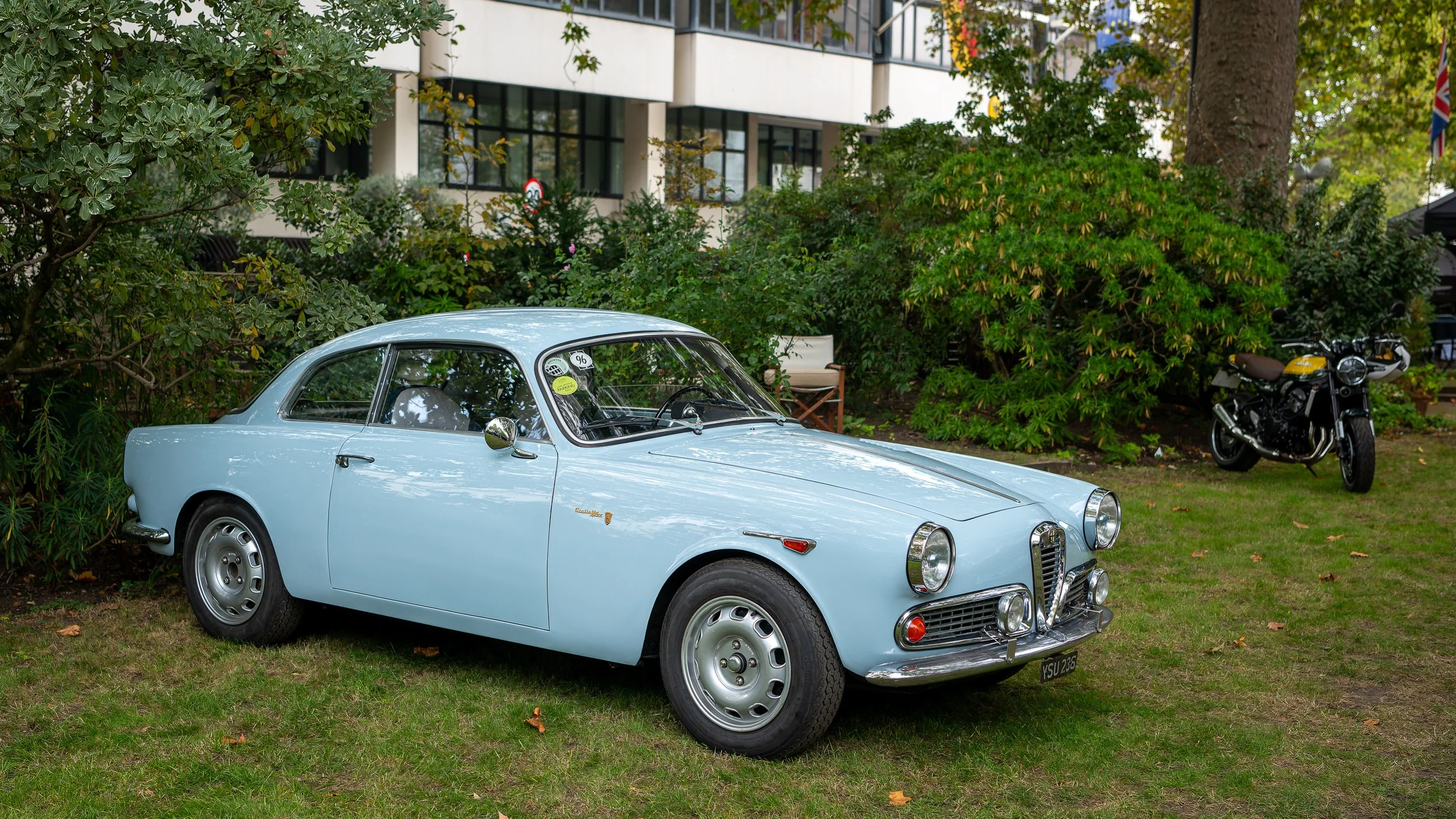 036-D85_3736-20251012-DxO_DeepPRIME XD2s.jpg