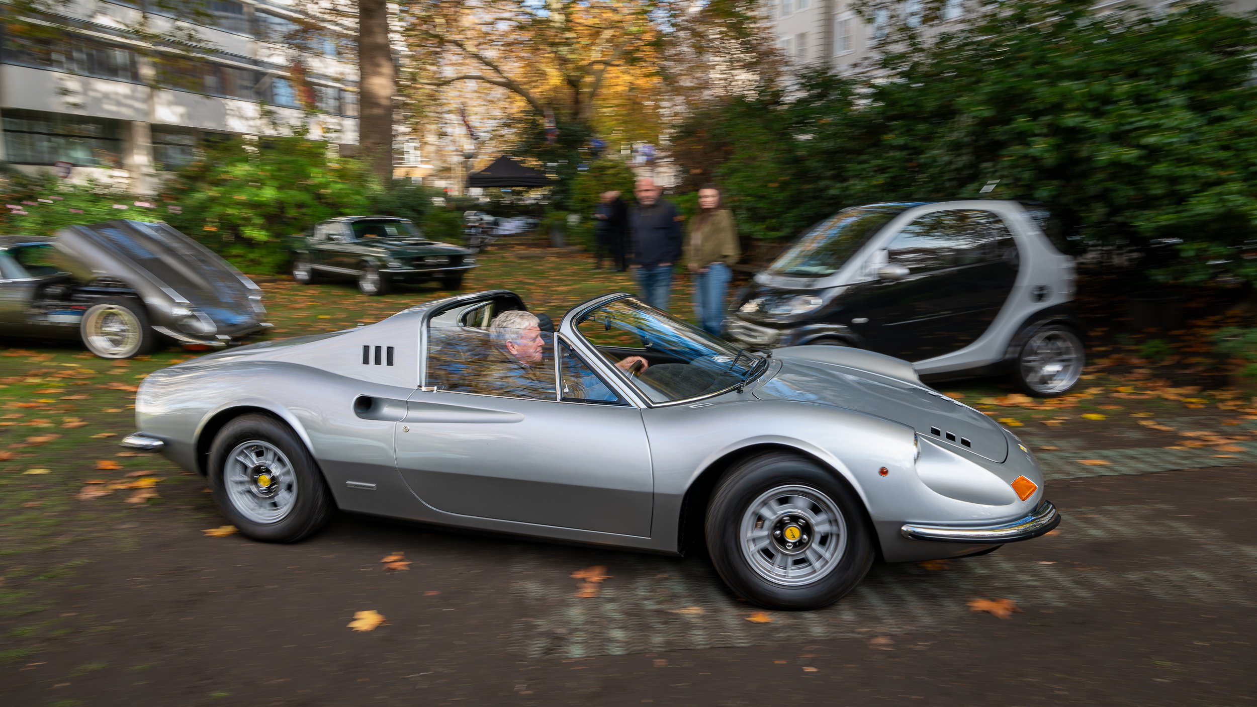 011-D85_3965-DxO_DeepPRIME XD2s.jpg