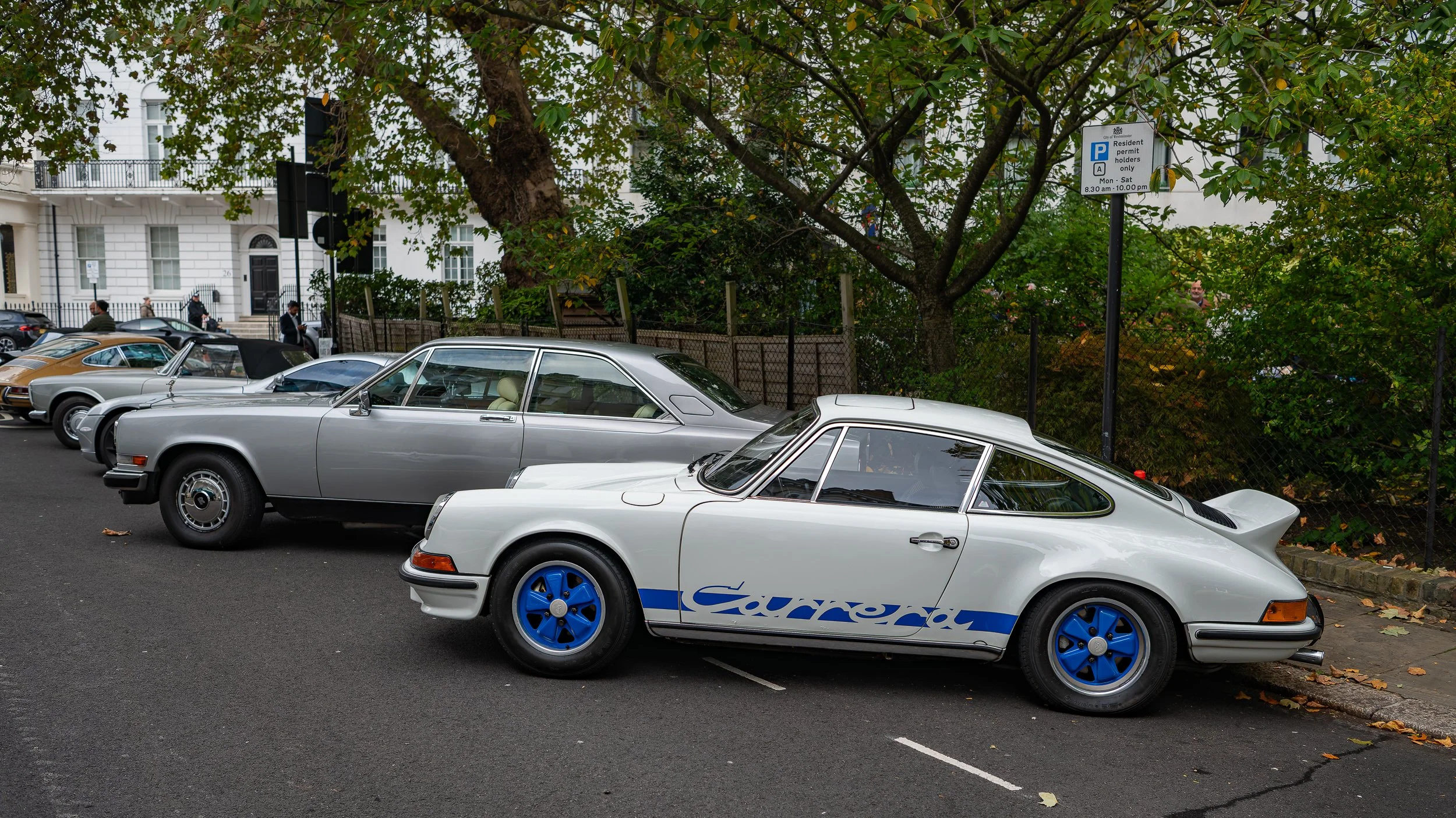 028-D85_3689-20251012-DxO_DeepPRIME XD2s.jpg