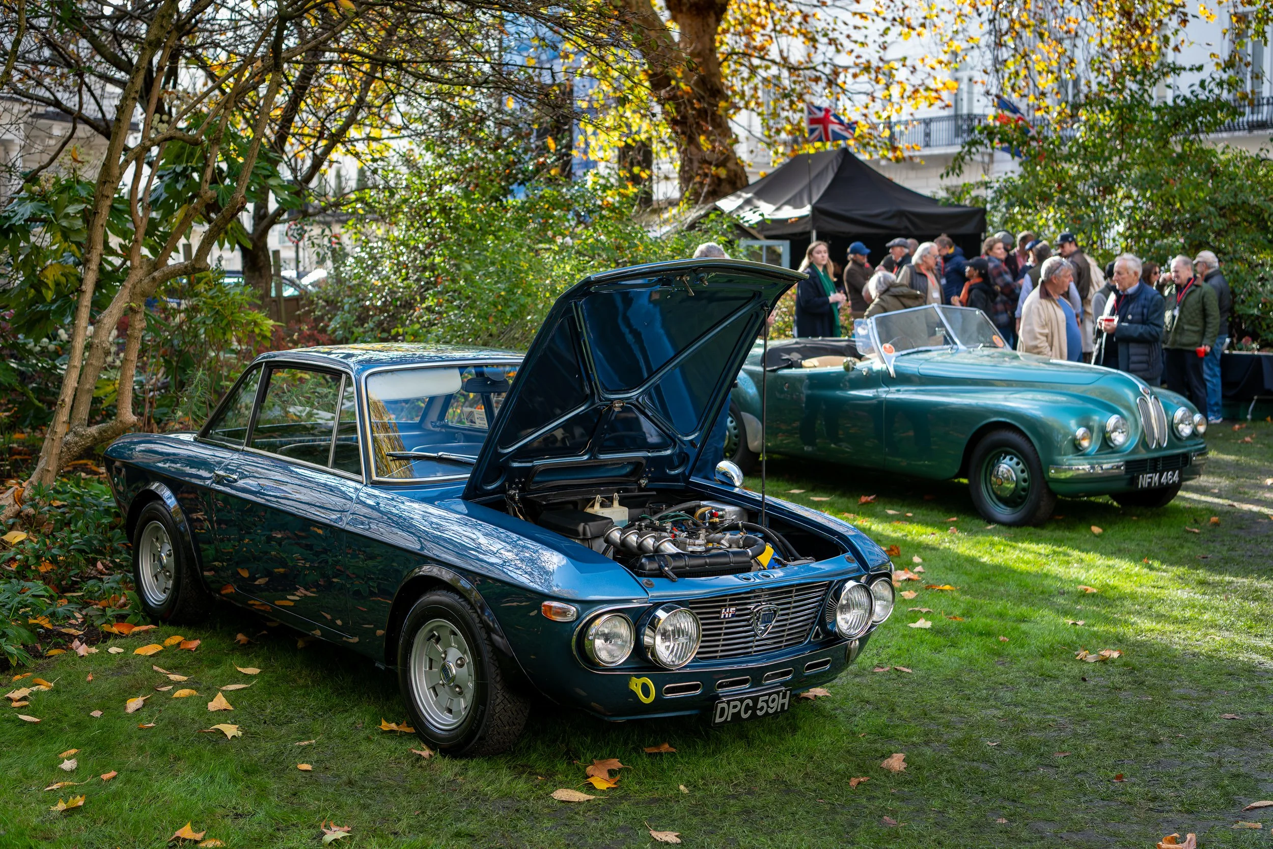 028-D85_3971-DxO_DeepPRIME XD2s.jpg