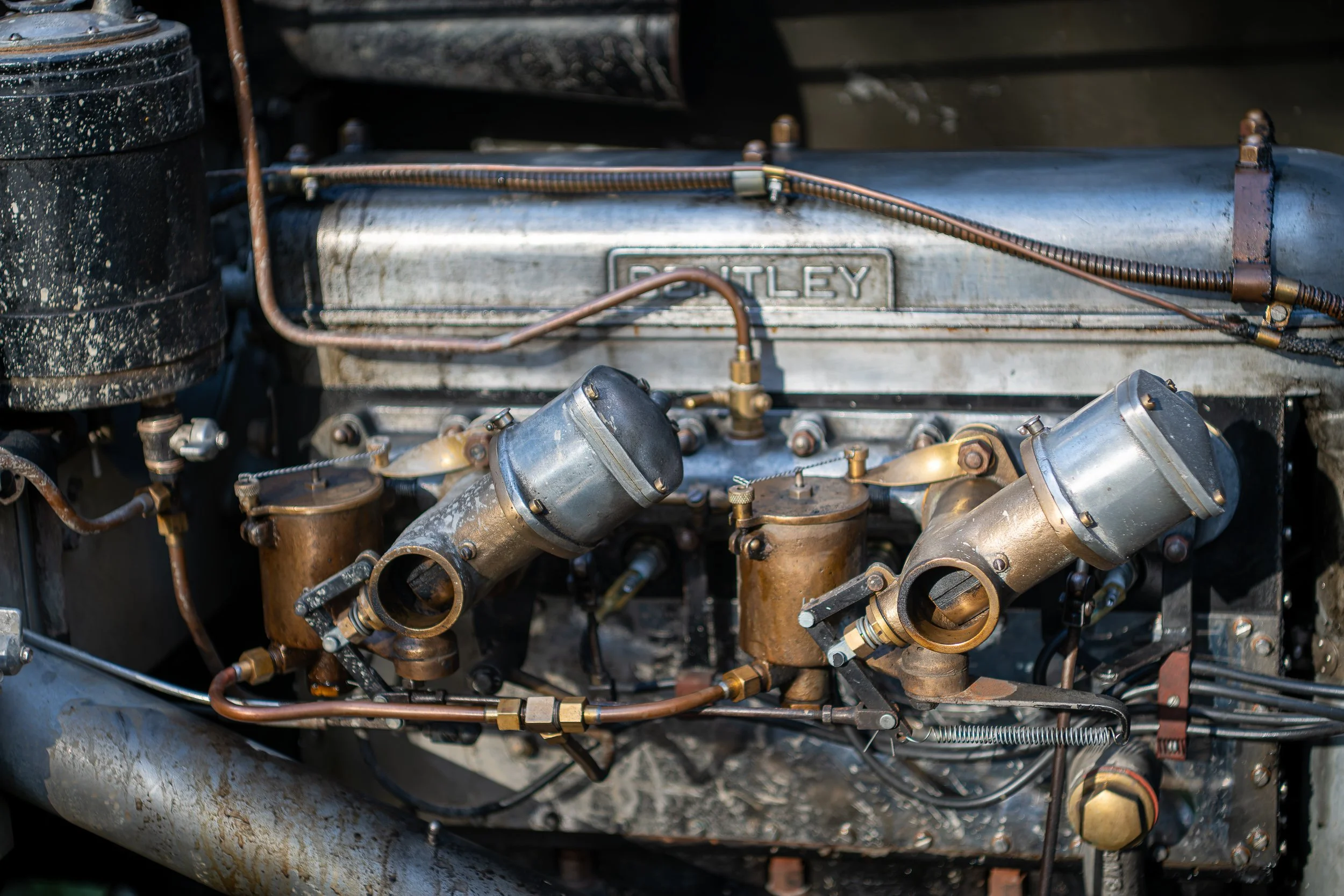 024-D85_3934-DxO_DeepPRIME XD2s.jpg