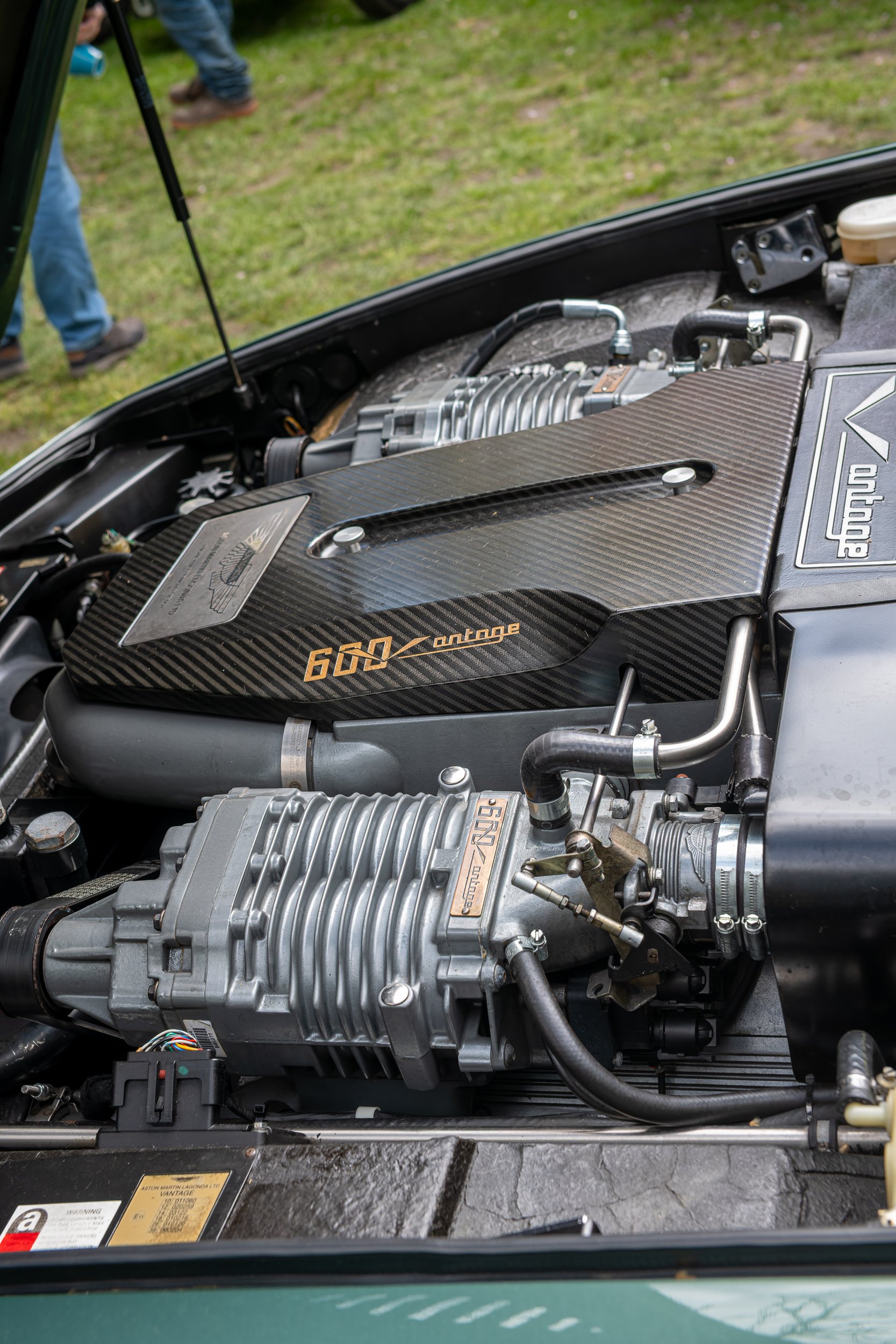 038-D85_5166-DxO_DeepPRIME XD3.jpg