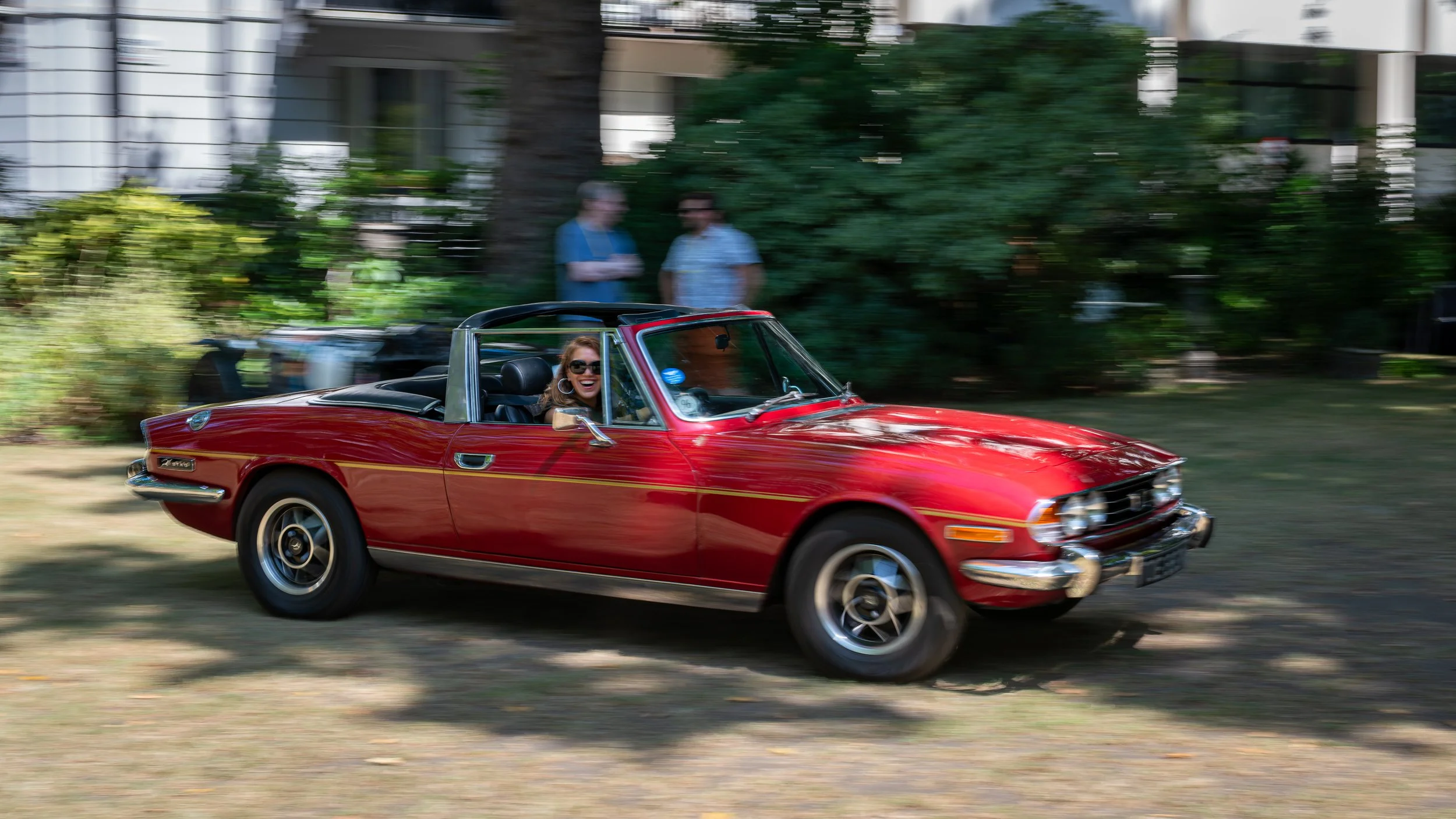 032-D85_6785-DxO_DeepPRIME XD3.jpg