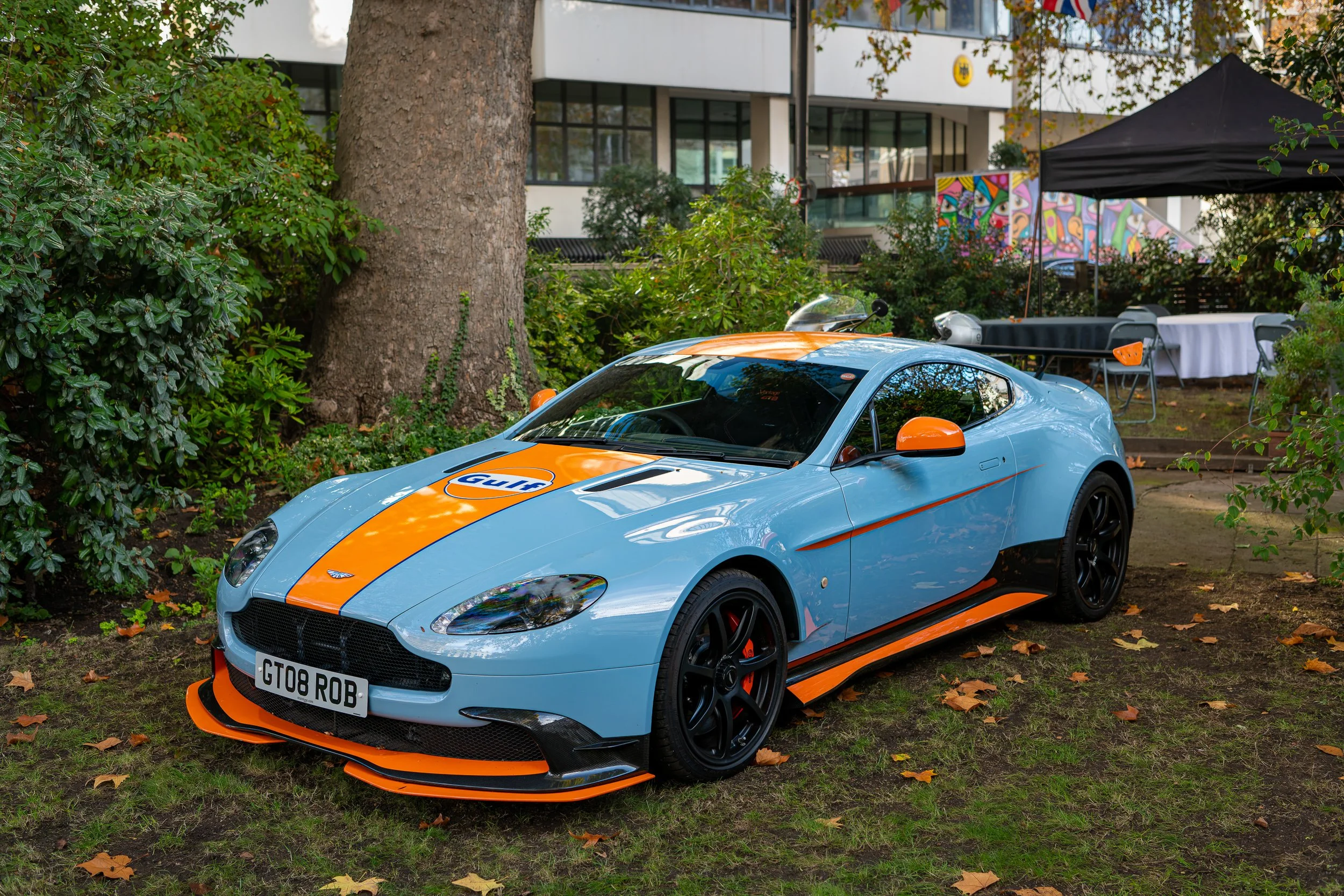 017-D85_3864-DxO_DeepPRIME XD2s.jpg