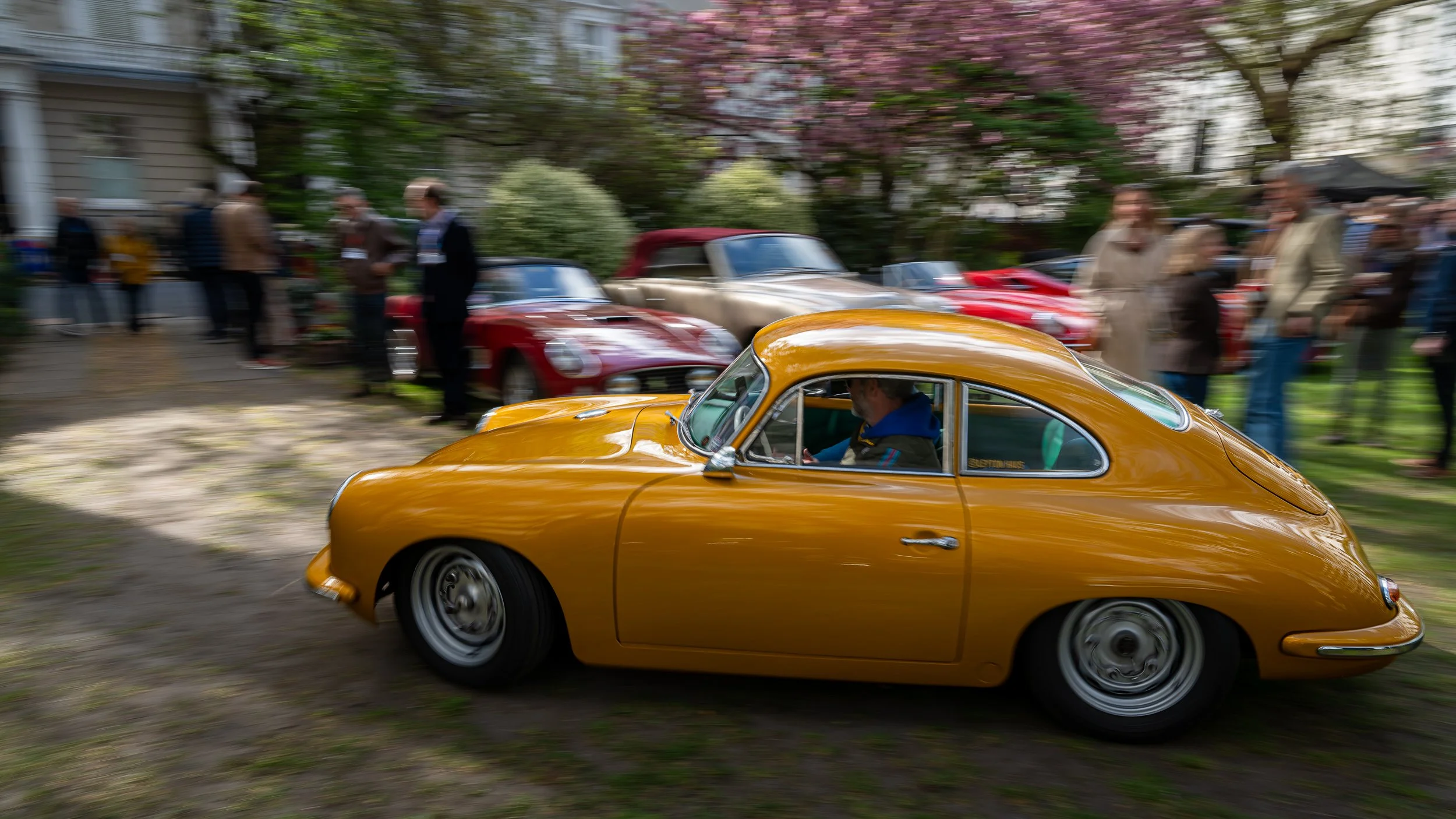011-D85_5082-DxO_DeepPRIME XD3.jpg