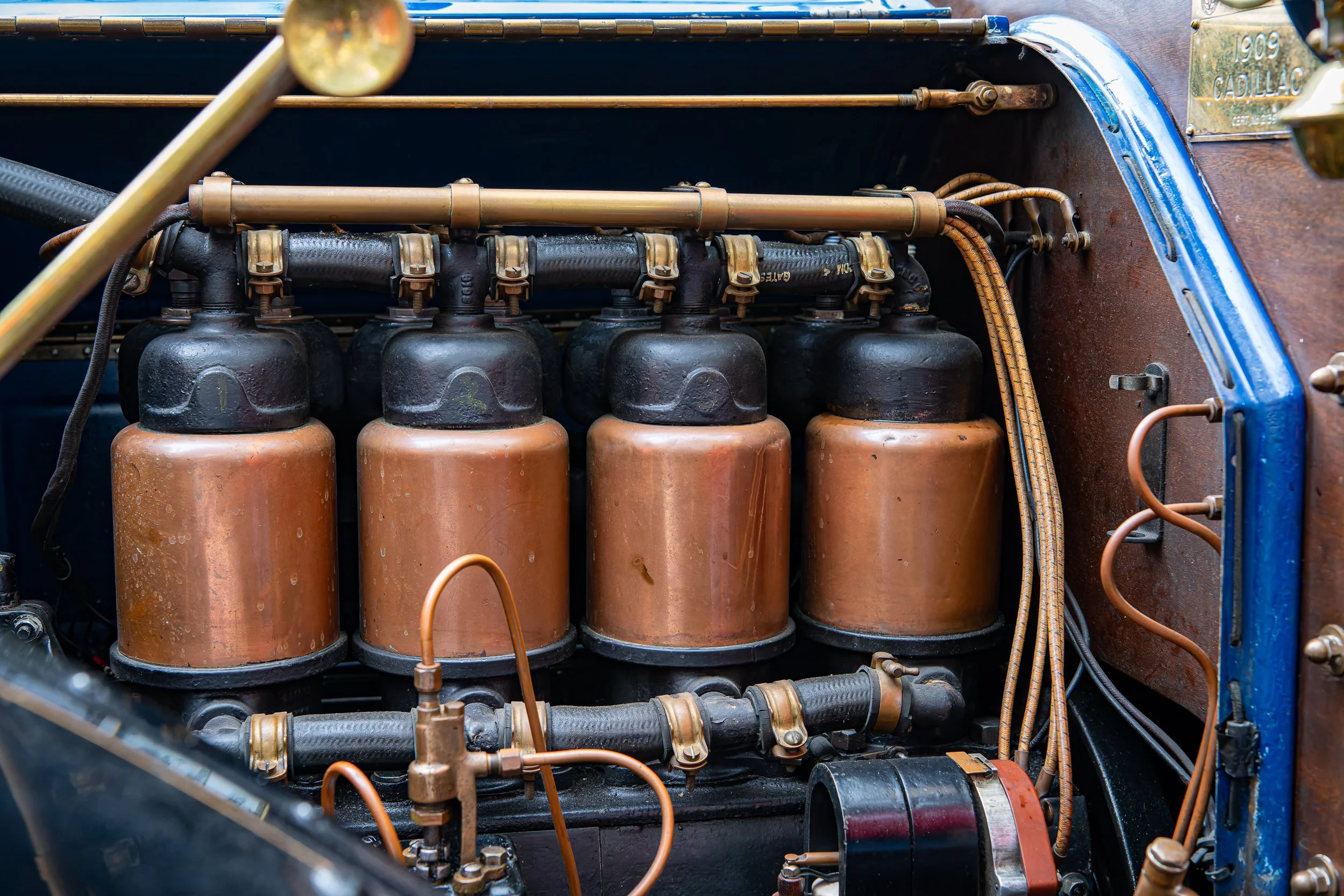 006-D85_3681-20251012-DxO_DeepPRIME XD2s.jpg