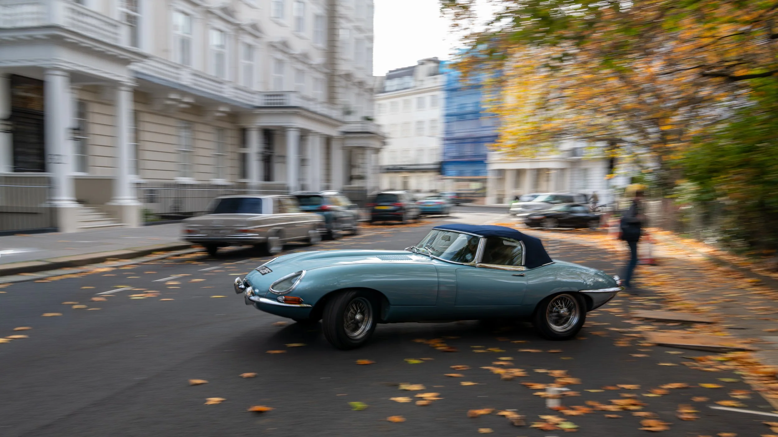 020-D85_4017-DxO_DeepPRIME XD2s.jpg