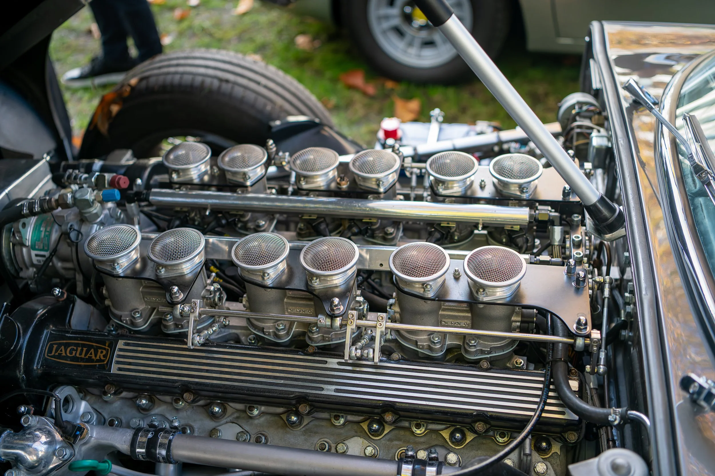 019-D85_3852-DxO_DeepPRIME XD2s.jpg