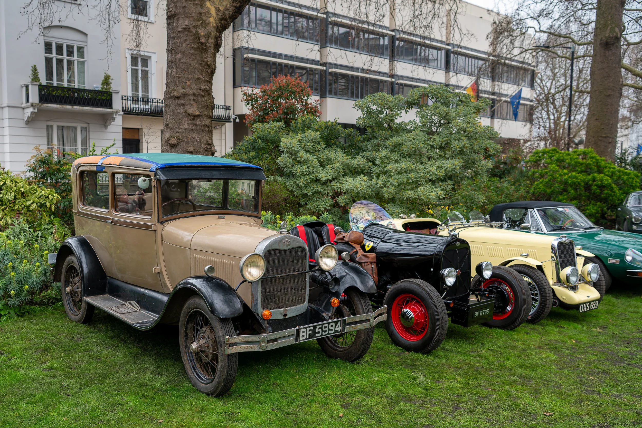 Lineup of vintage and classic cars parked on grass in front of a garden and residential buildings.