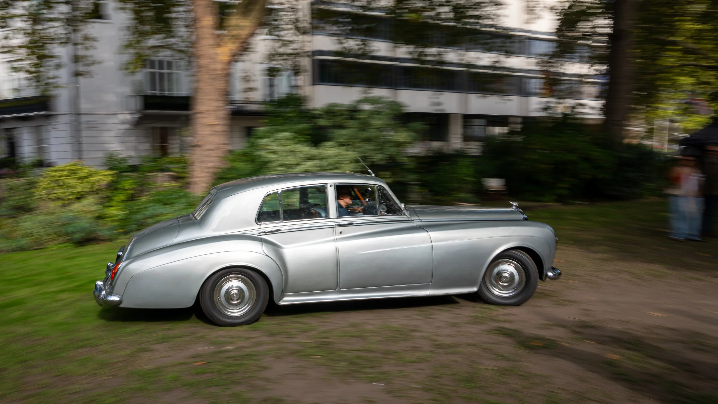 020-D85_3795-20251012-DxO_DeepPRIME XD2s.jpg