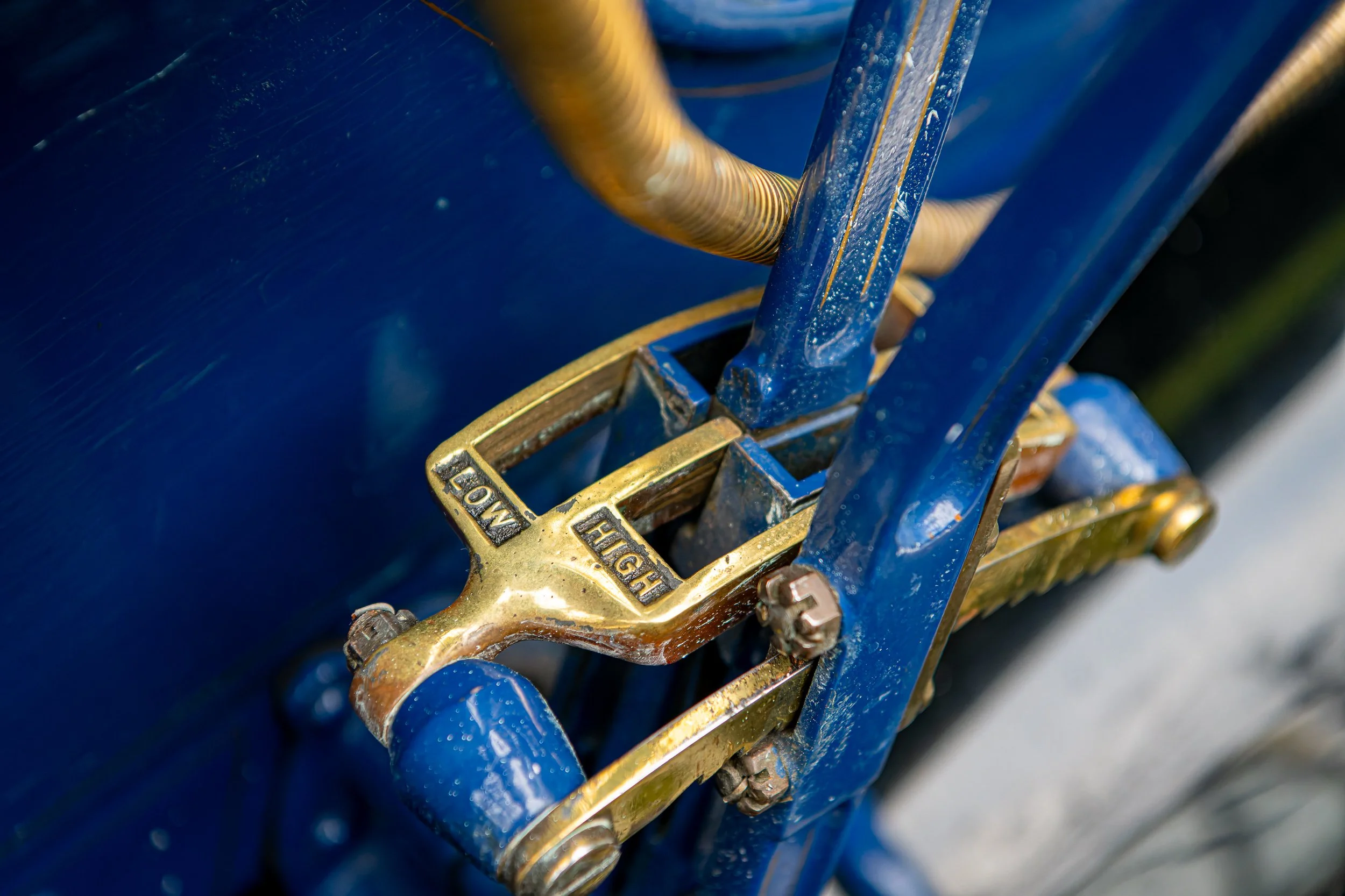 004-D85_3588-20251012-DxO_DeepPRIME XD2s.jpg