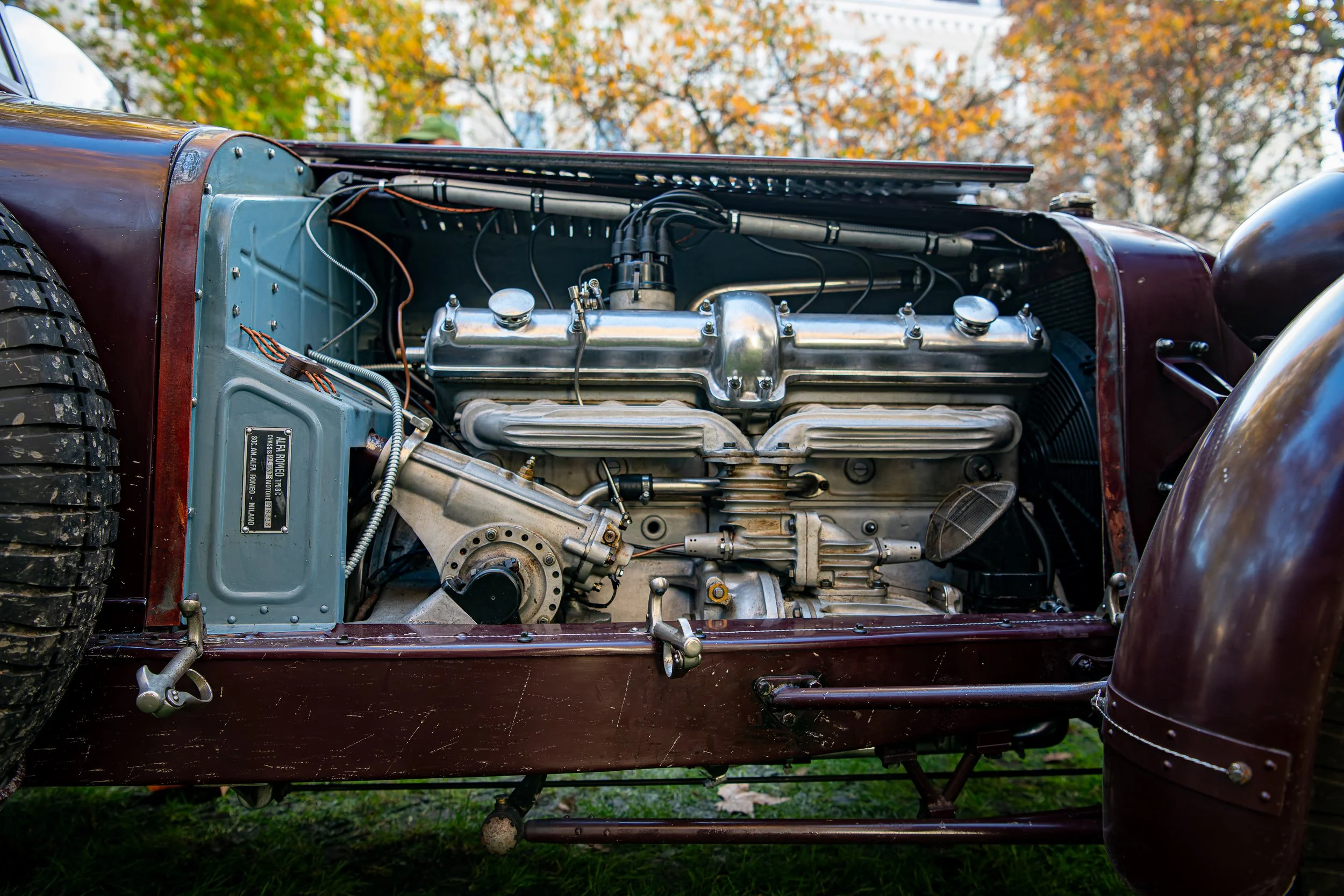 008-D85_3843-DxO_DeepPRIME XD2s.jpg