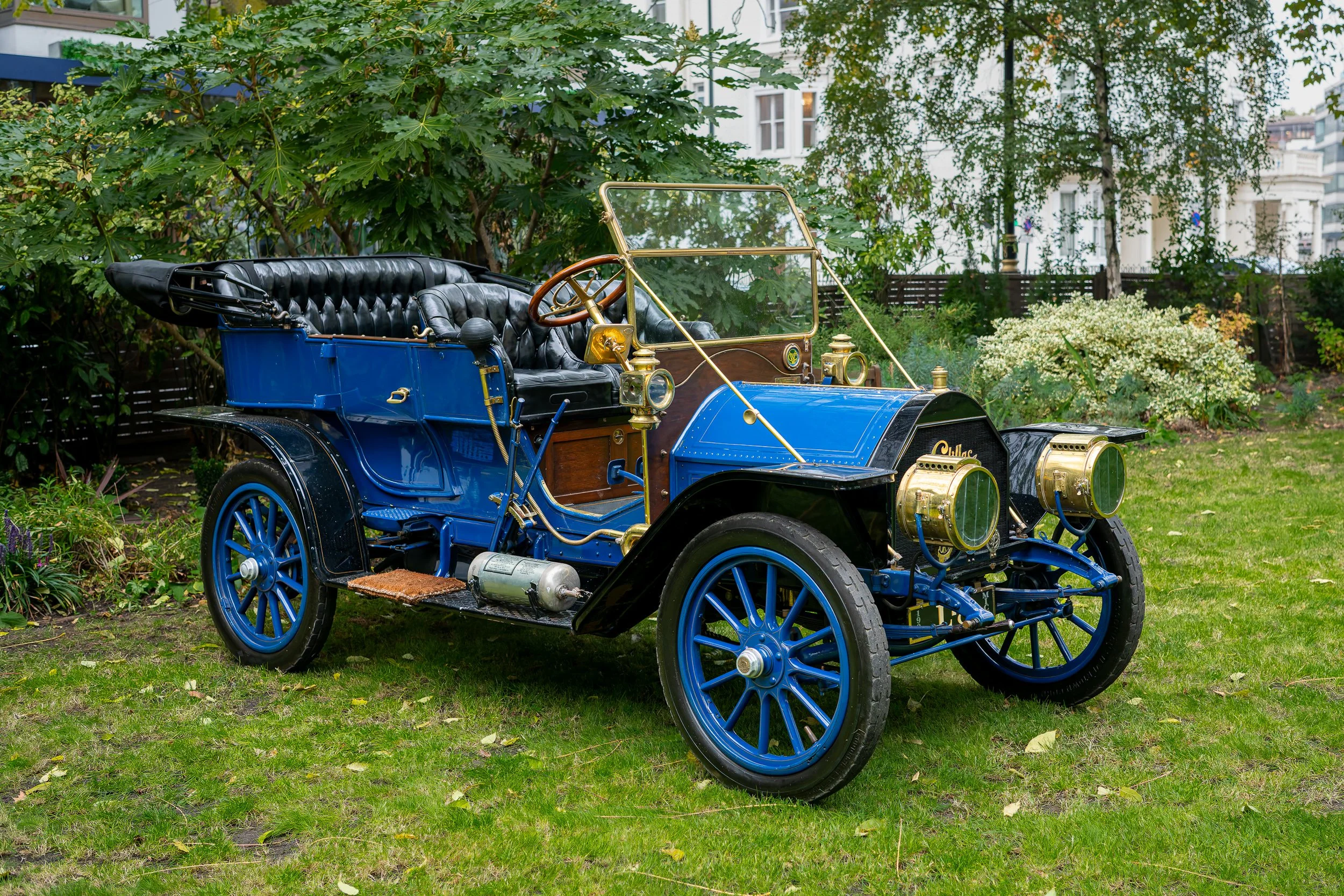 002-D85_3593-20251012-DxO_DeepPRIME XD2s.jpg