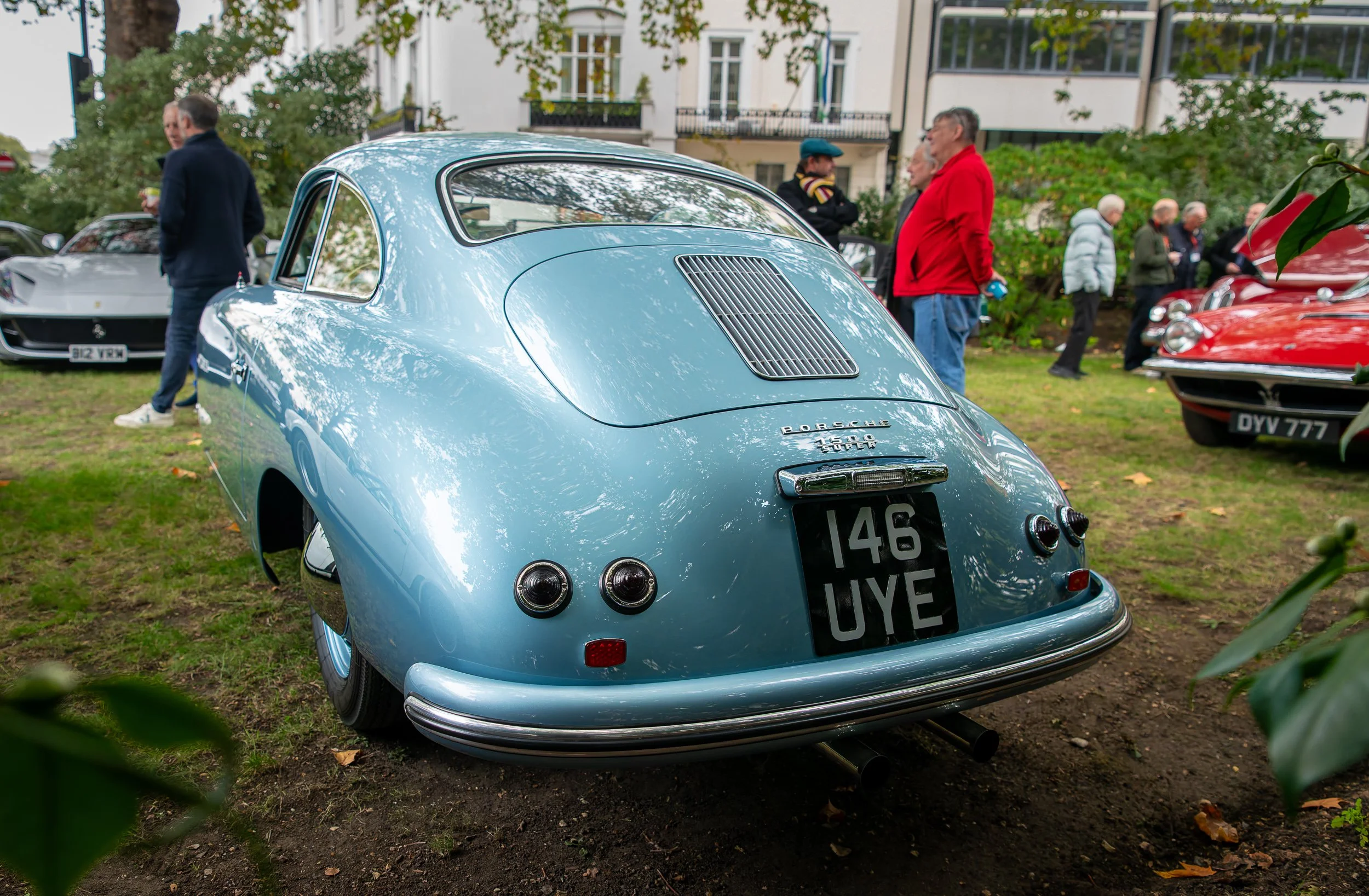 013-D85_3635-20251012-DxO_DeepPRIME XD2s.jpg