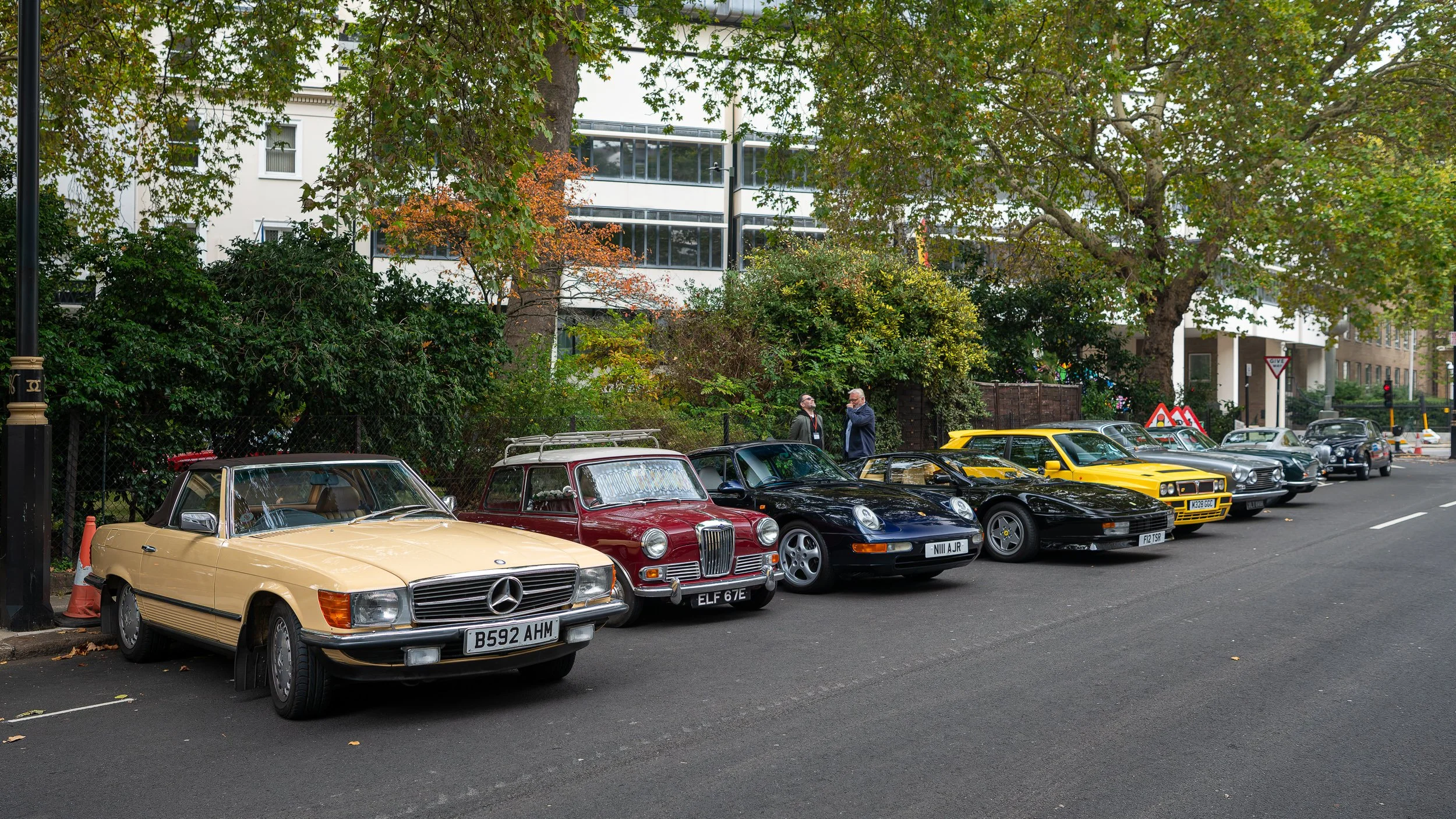 025-D85_3685-20251012-DxO_DeepPRIME XD2s.jpg