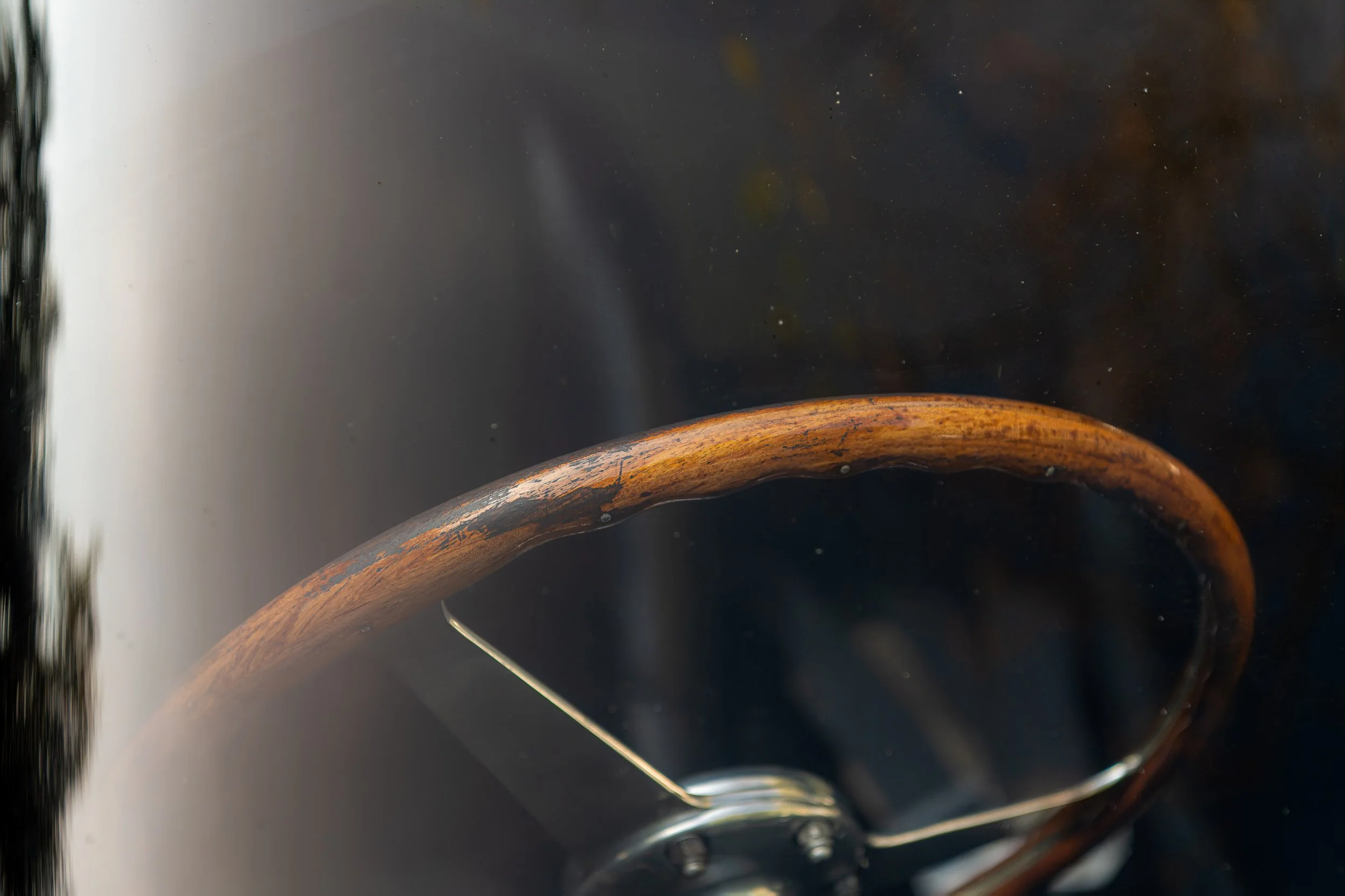 037-D85_3818-20251012-DxO_DeepPRIME XD2s.jpg