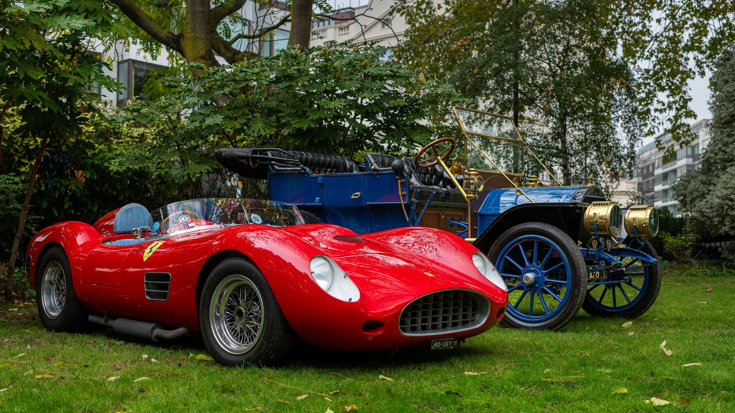 008-D85_3598-20251012-DxO_DeepPRIME XD2s.jpg