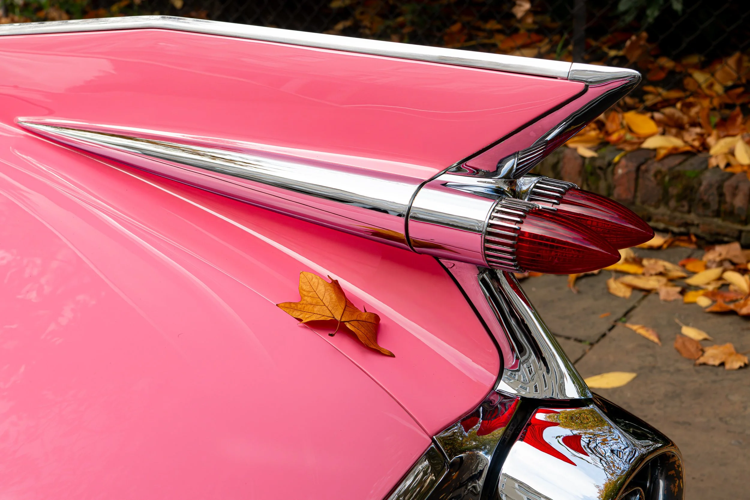 031-D85_4006-DxO_DeepPRIME XD2s.jpg