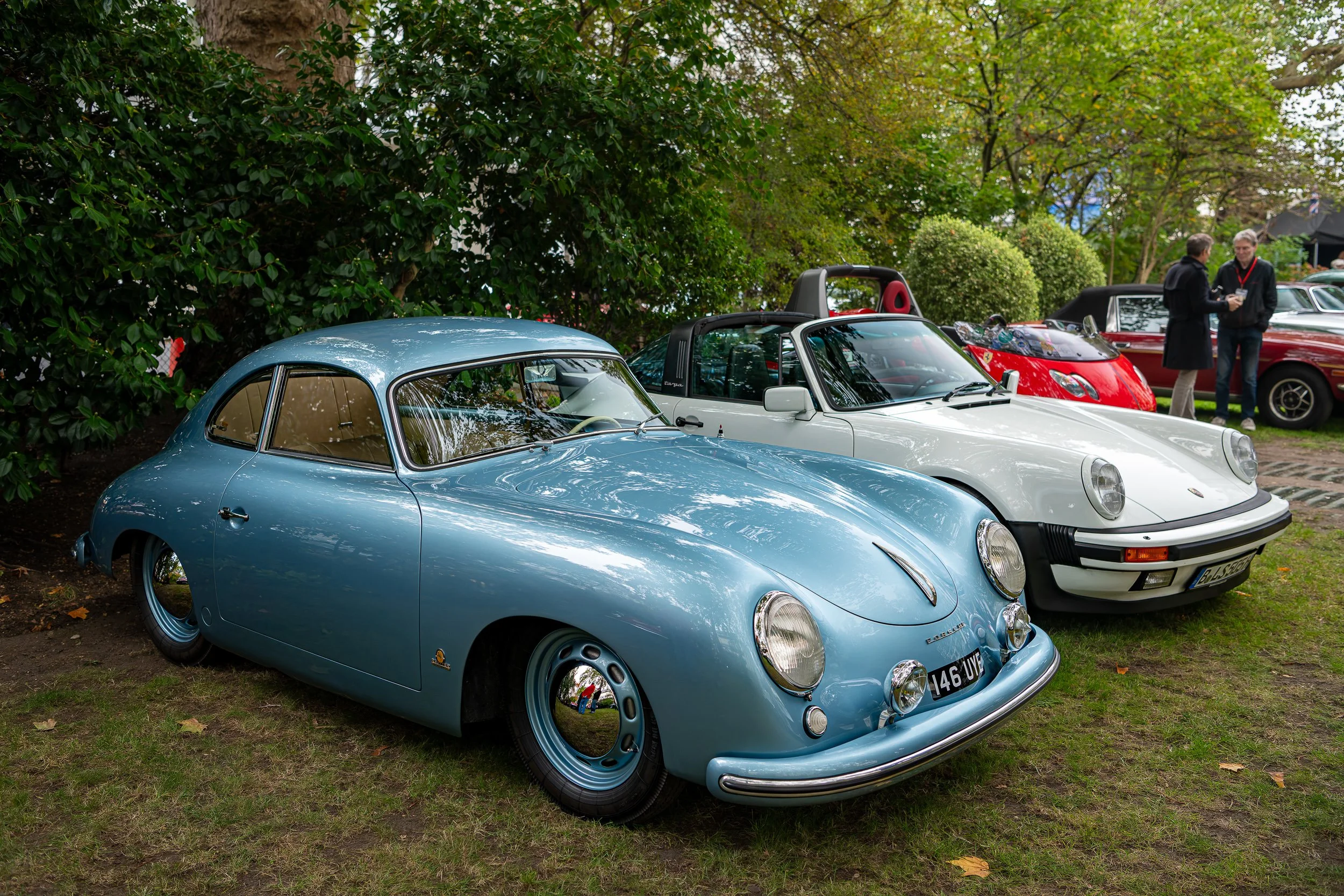 014-D85_3629-20251012-DxO_DeepPRIME XD2s.jpg