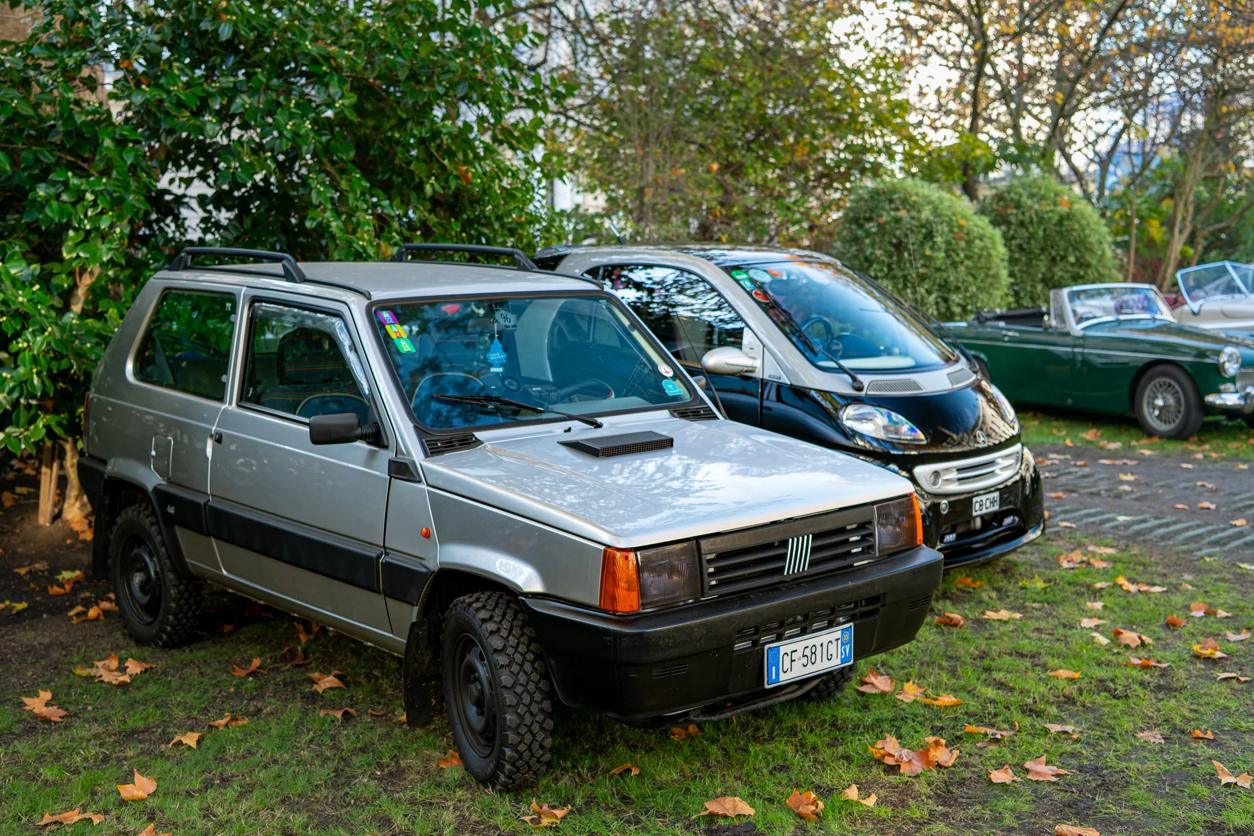 005-D85_3823-DxO_DeepPRIME XD2s.jpg