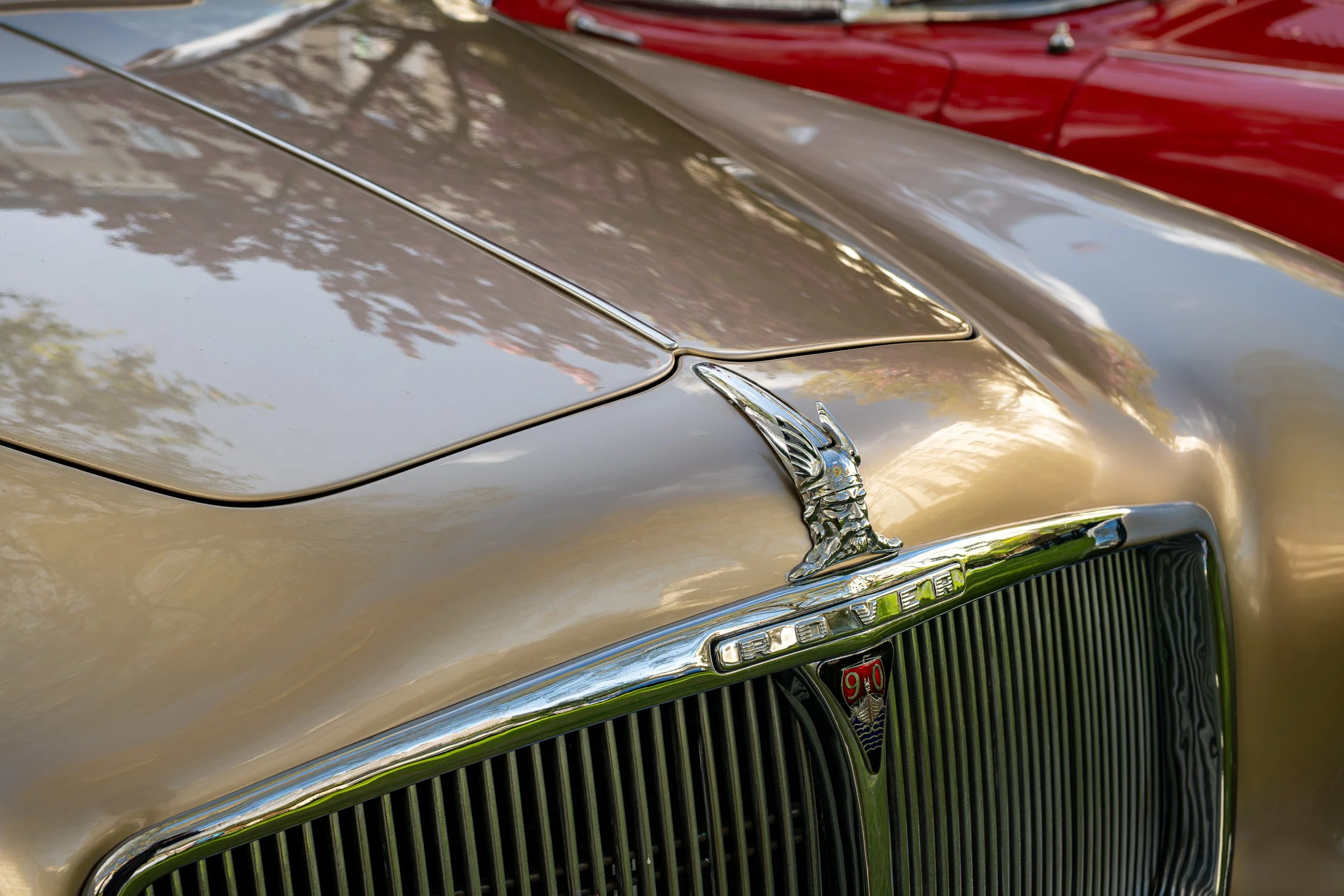 005-D85_5040-DxO_DeepPRIME XD3.jpg