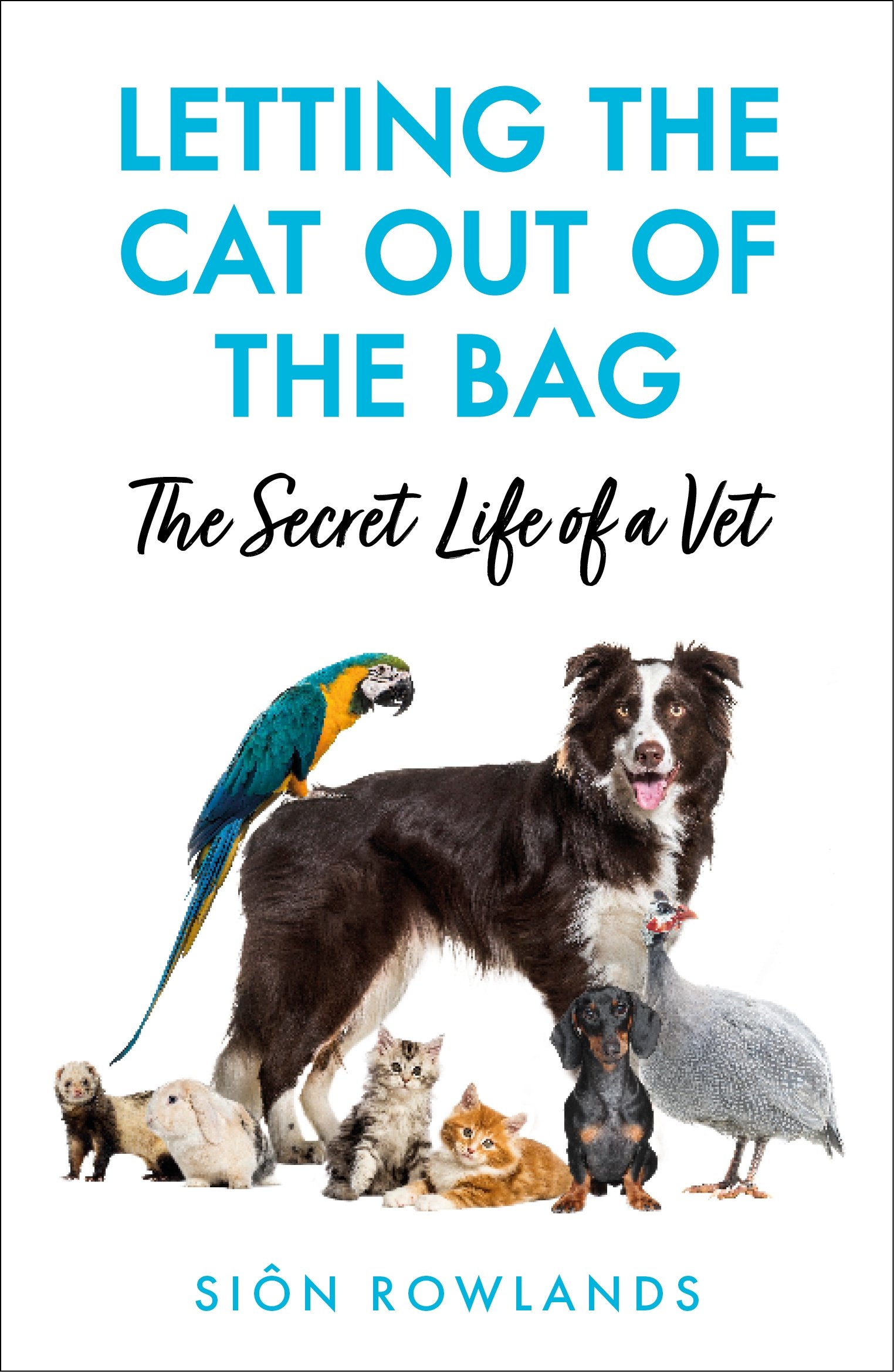 Letting the cat out of the bag.jpg
