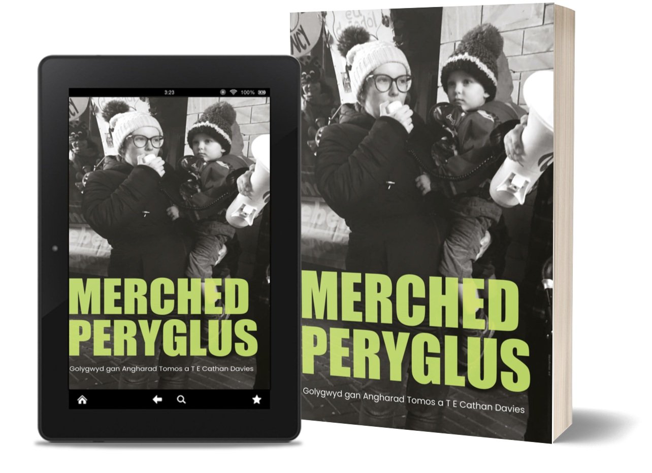 Merched+Peryglus+%28eBook+%26+Paperback%29.jpg