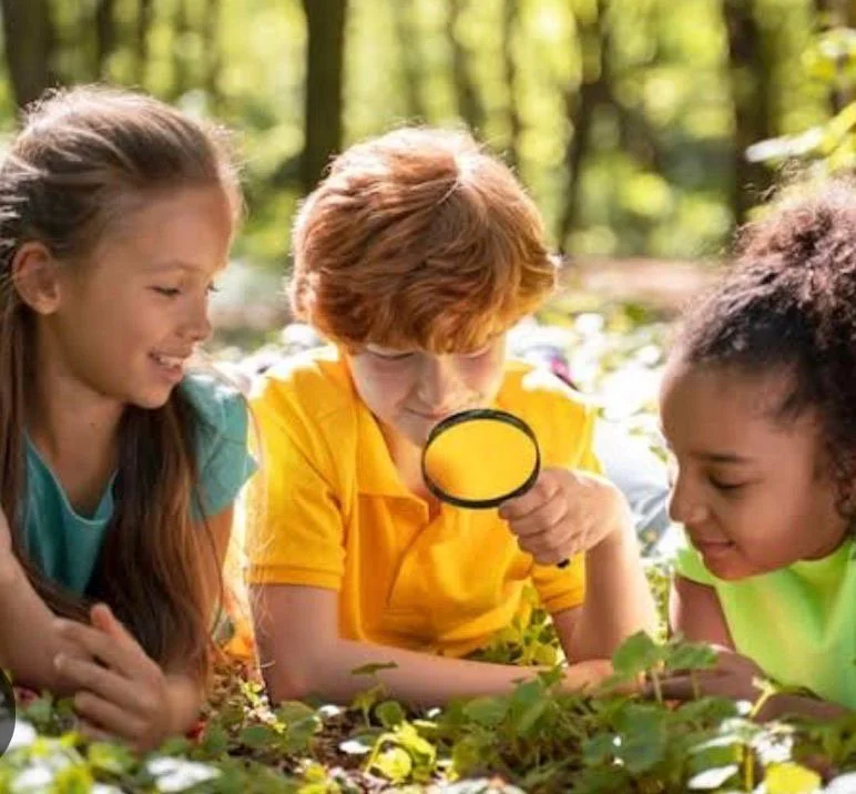 The Big Brilliant Poo Hunt 