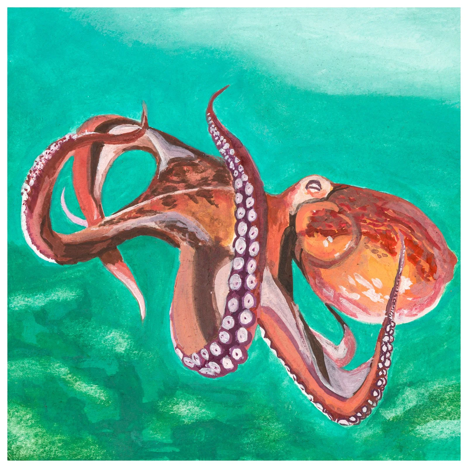 Octopus vinyl sticker