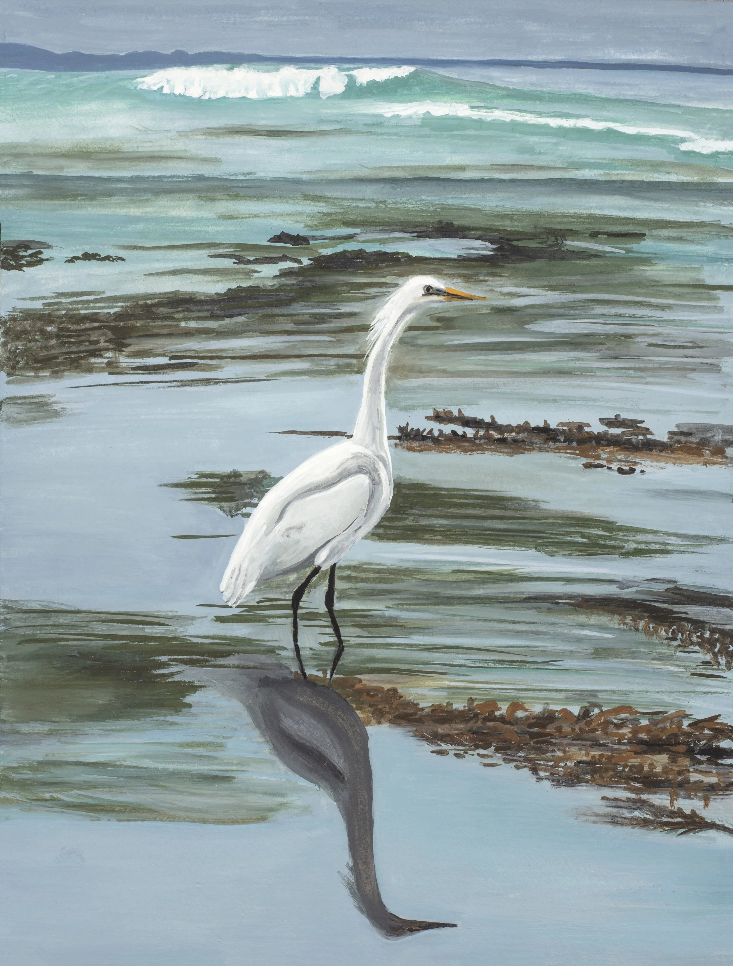 Burke 19385896 001_downsize.jpg