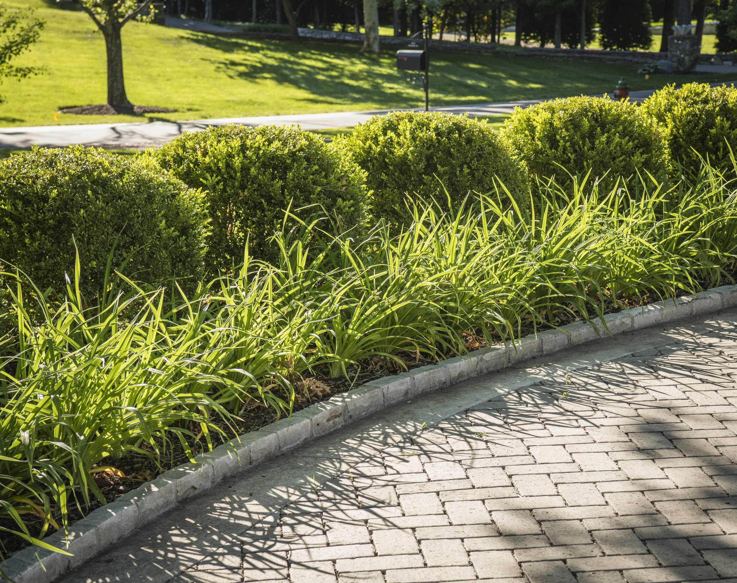 Page Landscape Carriage Court Reed Brown May 202625.jpg