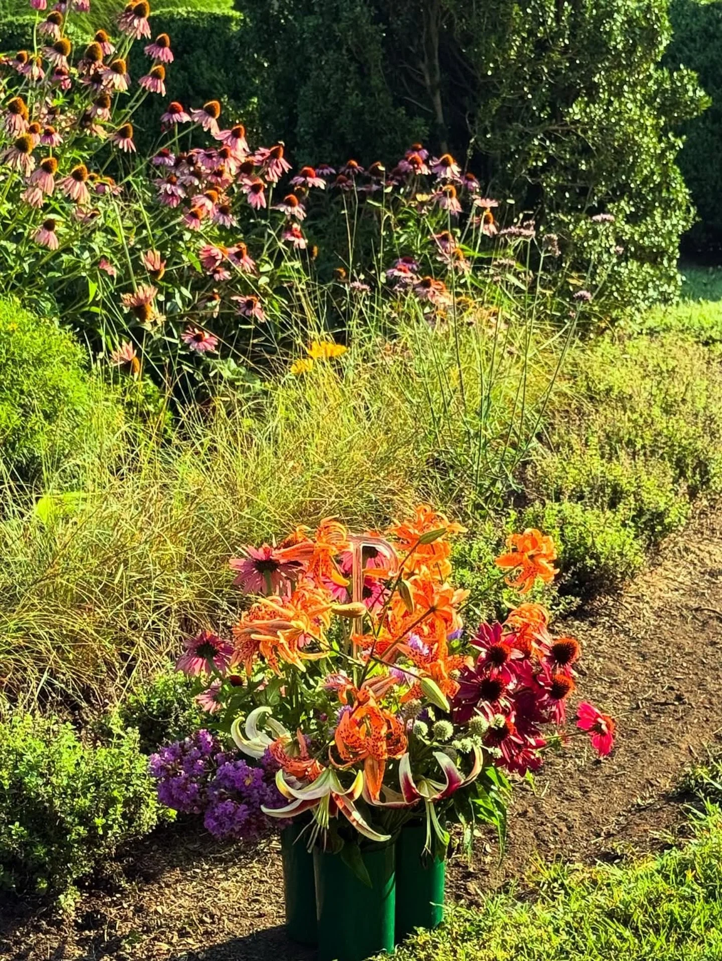 Brookside Summer July 2025 has arrived&hellip;

@elizabethrpage 
@benpagelandscape 

To see new photos of our Brookside Farm - Summer 2025, go to the LINK in profile. 

#summergarden #tennesseegarden #tennesseefarm #gilescounty 
#benpagelandscape