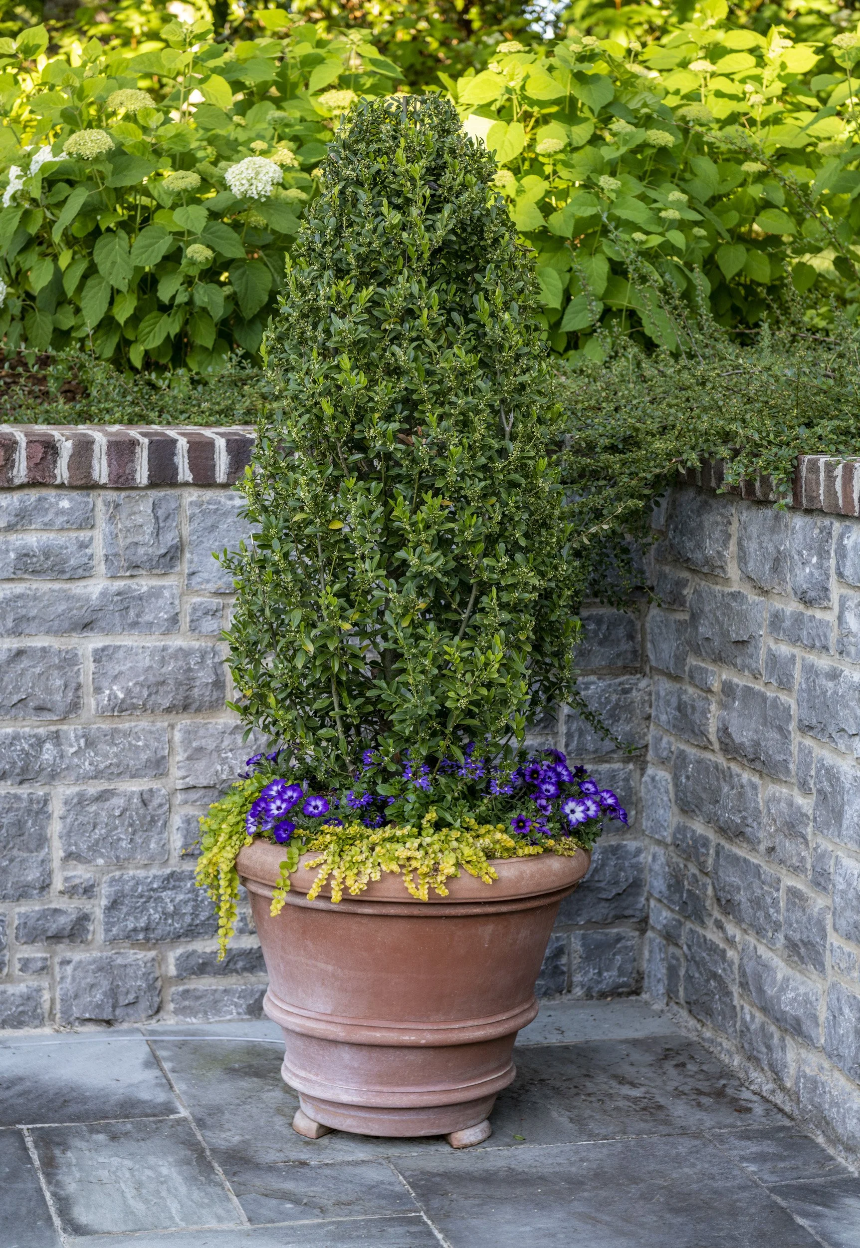 Page Landscape Carriage Court Reed Brown May 202658.jpg