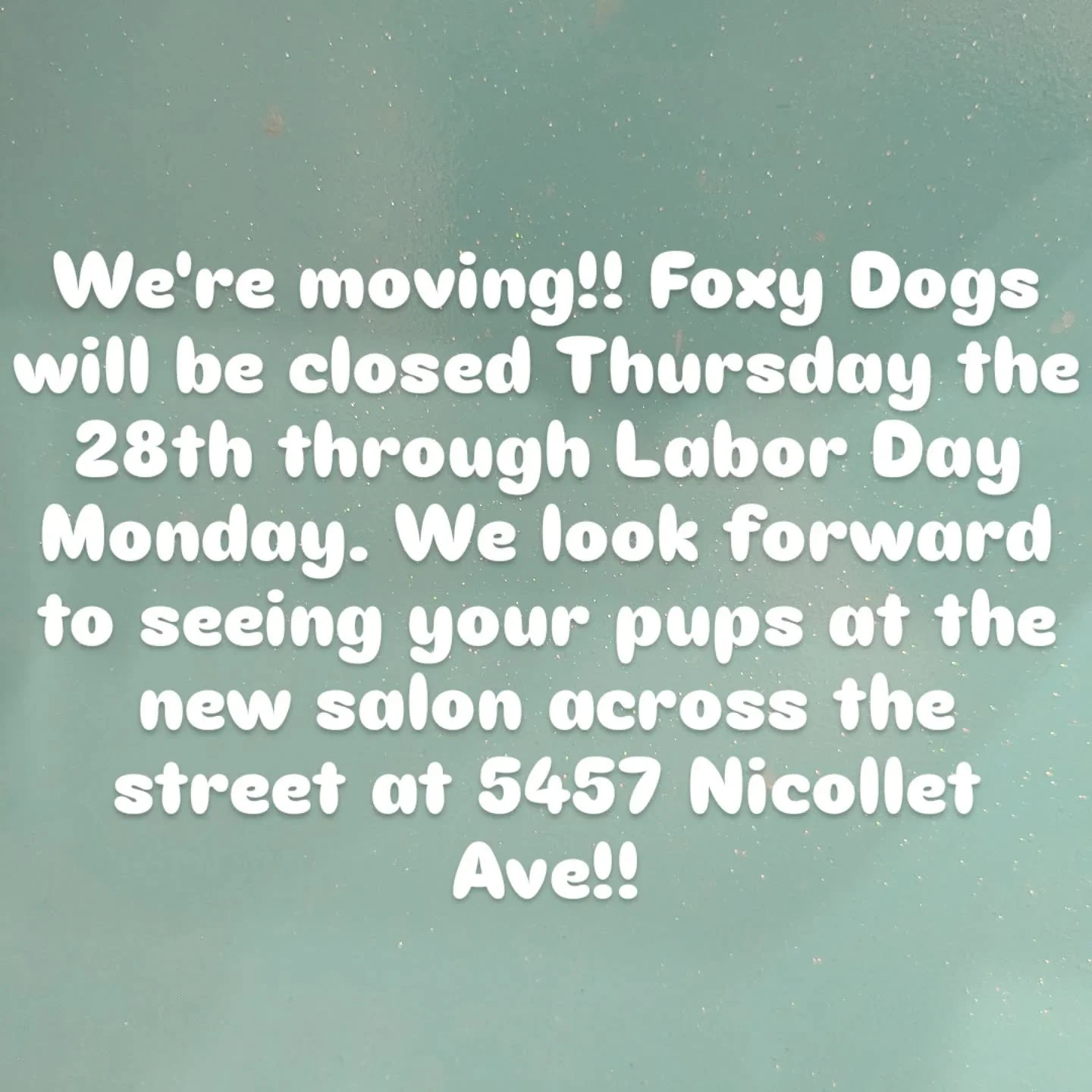 #foxydogsmpls #everypupshouldbealittlefoxier