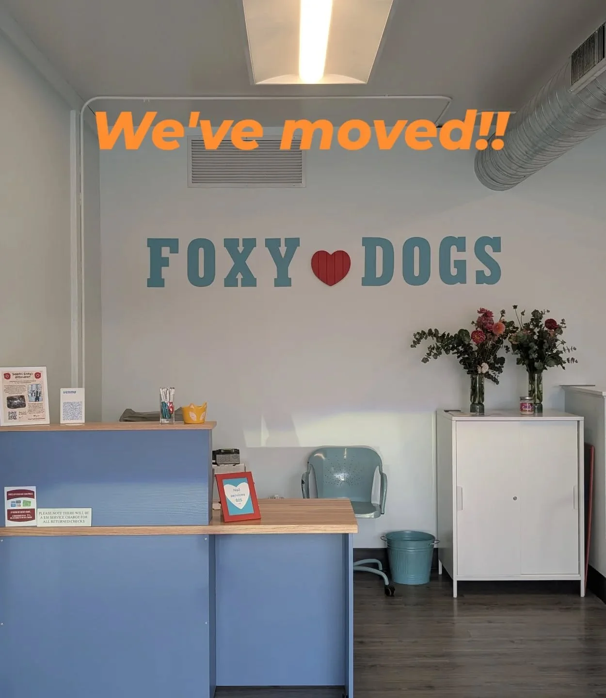 ✨ We've moved!! ✨ 
New location 5457 Nicollet Ave, right across the street!
Can't wait to welcome you and show you the new salon!
Same team, better vibes and a fresh new space to make every pup a little foxier!! 🦊
#foxydogsmpls #everypupshouldbe