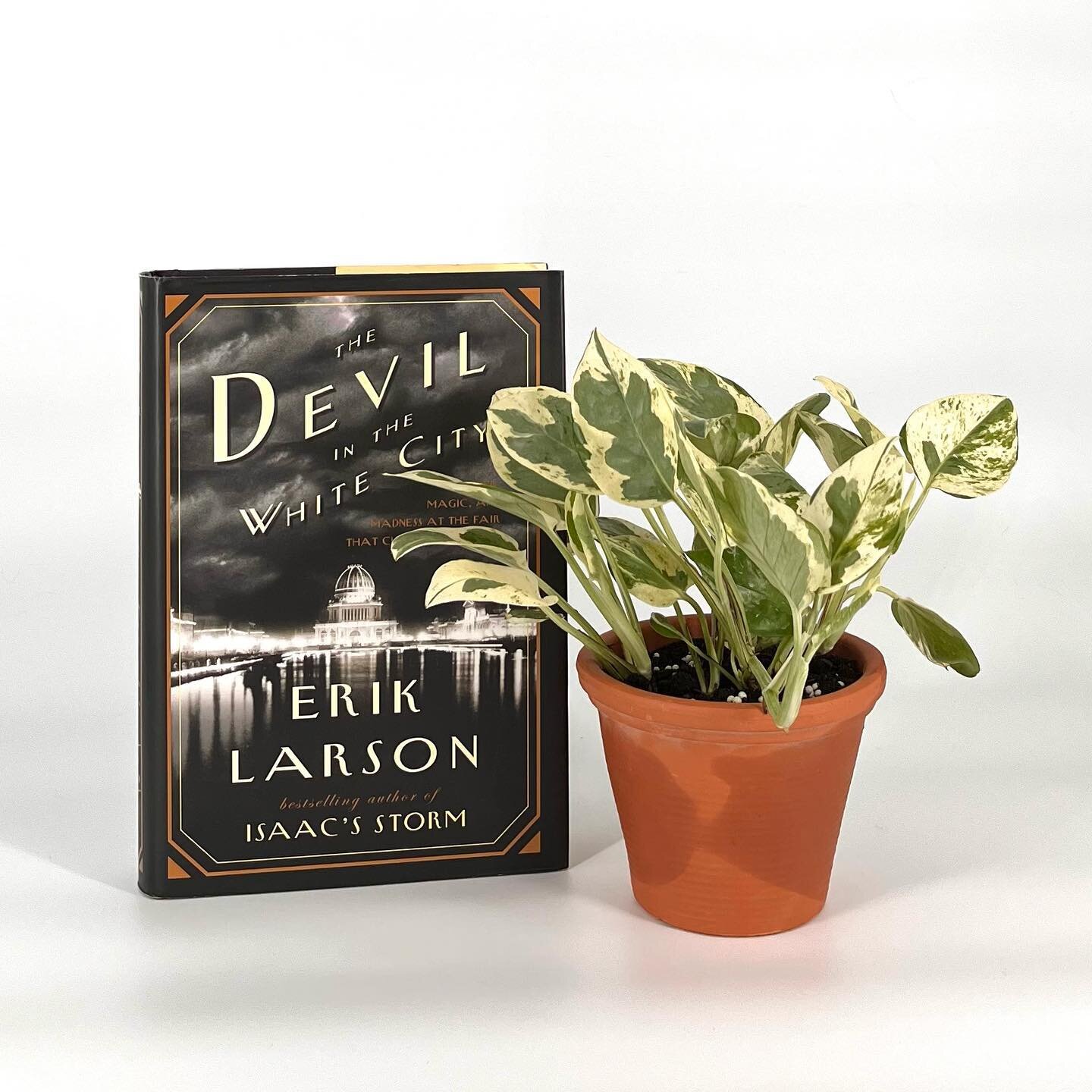 &bull;The Devil in the White City: Murder, Magic, and Madness at the Fair that Changed America, by Erik Larson. New York: Crown, 2014. First edition, first printing.
 
&bull;Erik Larson&rsquo;s haunting nonfiction thriller tells the tale of the 1893 