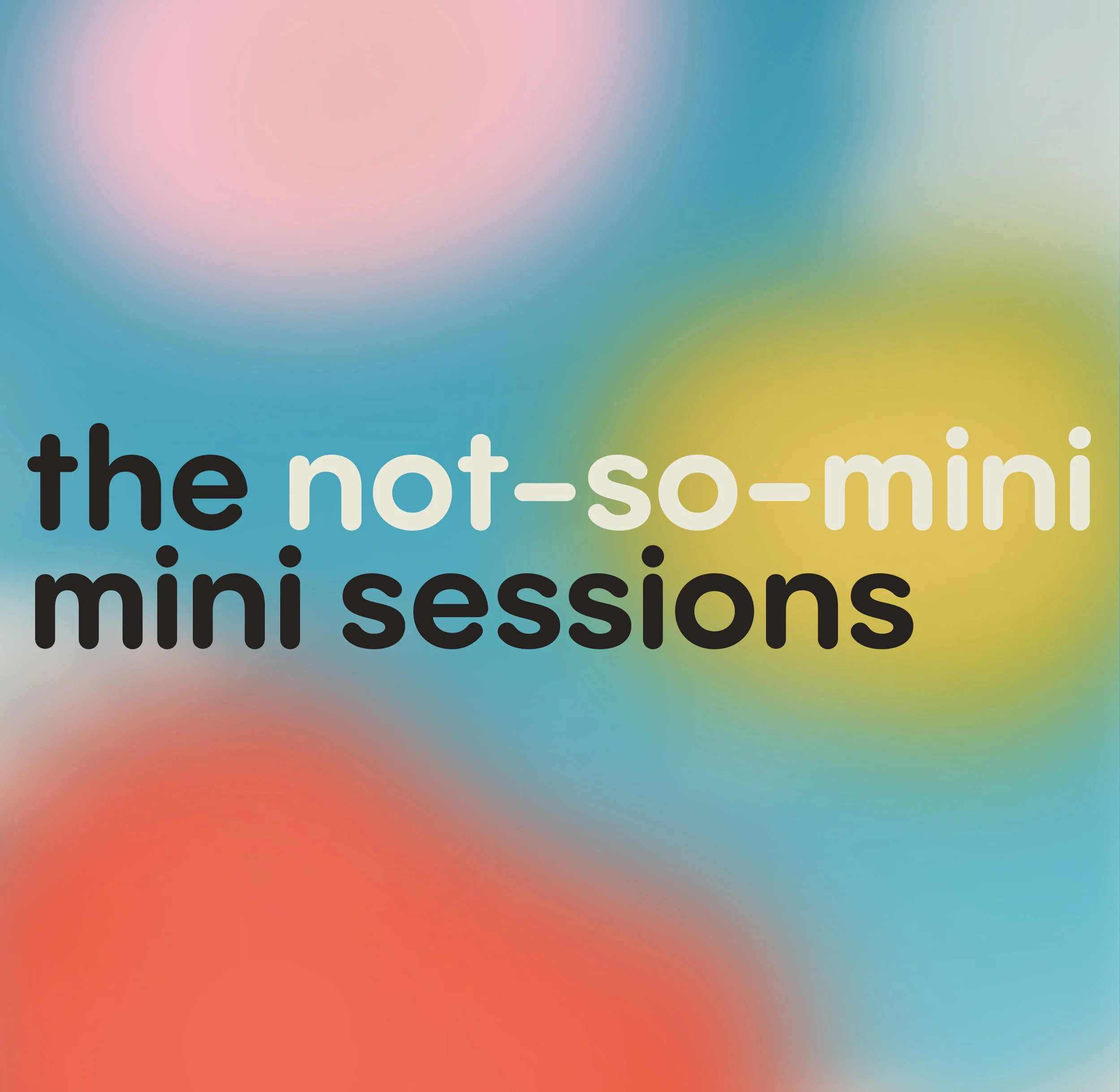 The Not-So-Mini Mini Sessions