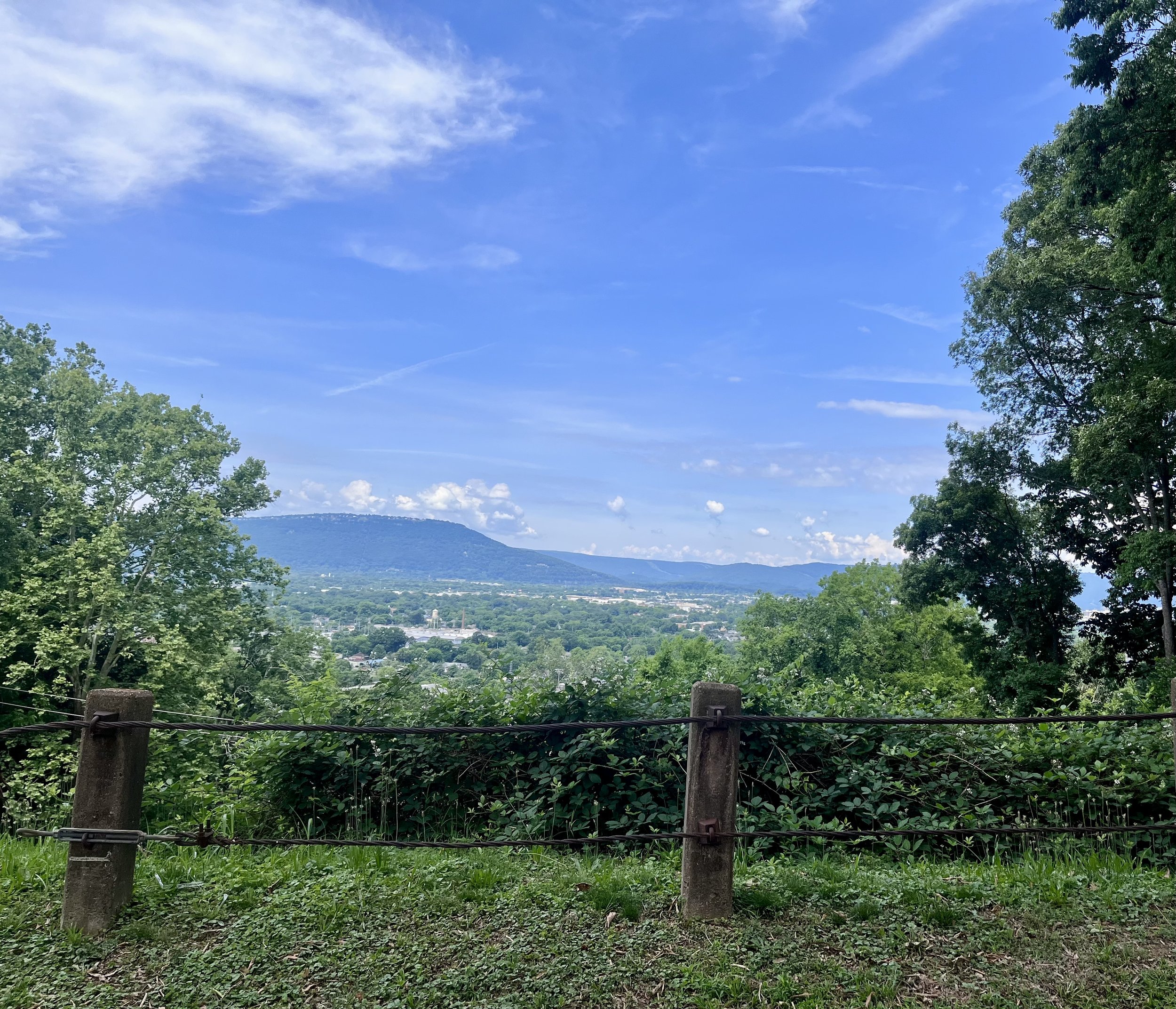 IMG_5681.jpeg